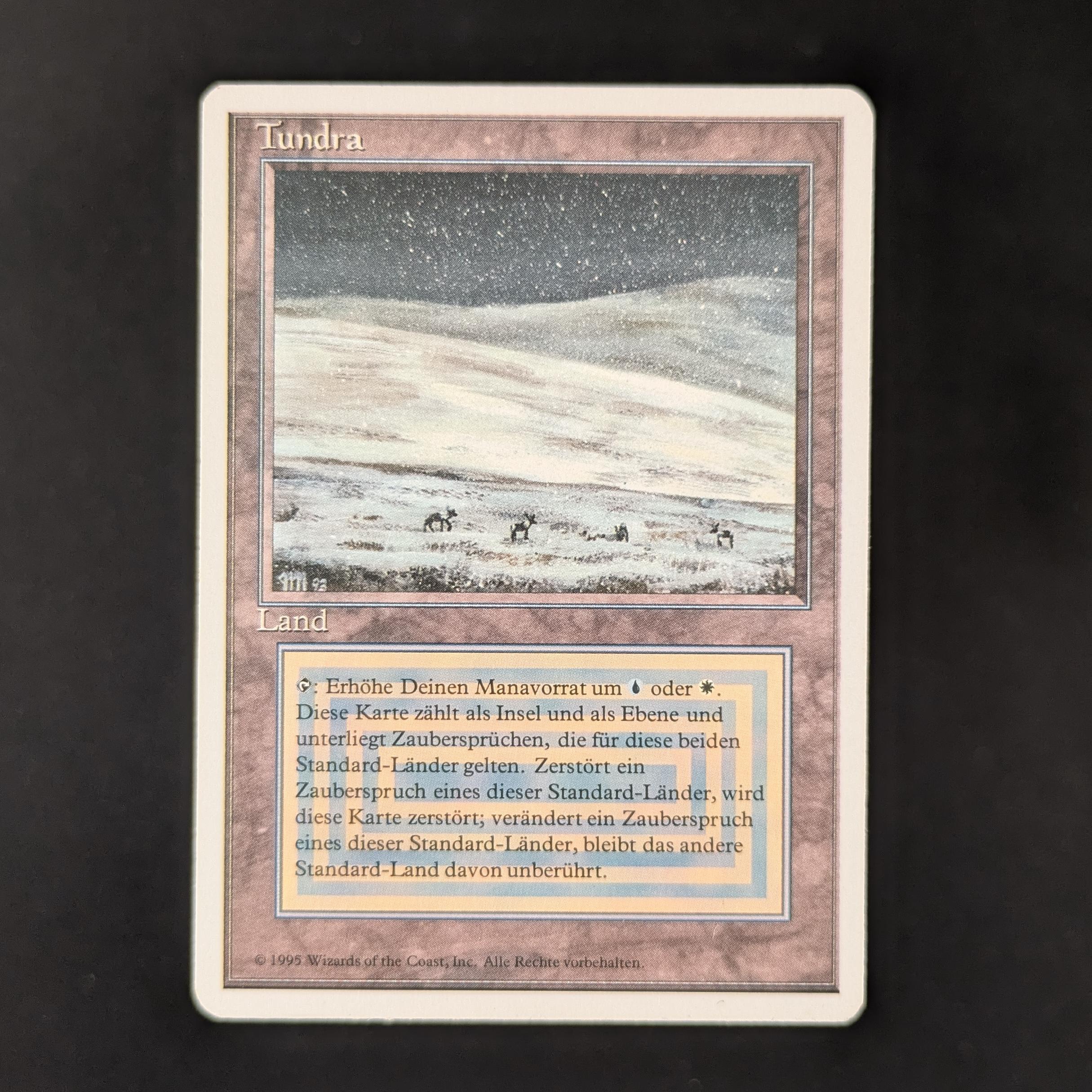 Tundra - Foreign White Bordered