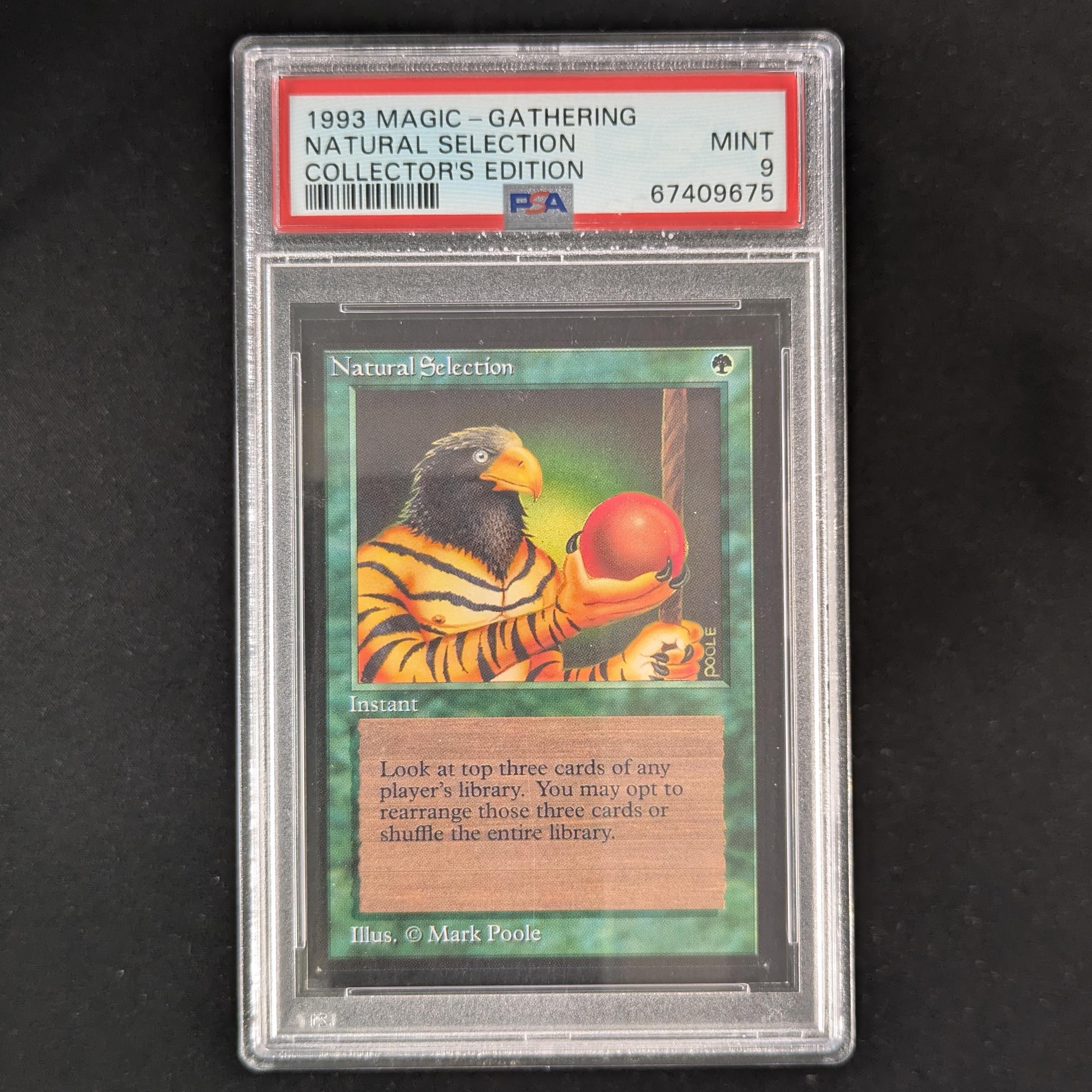 MTG Singles - Natural Selection - Collectors' Edition - PSA 9 - 