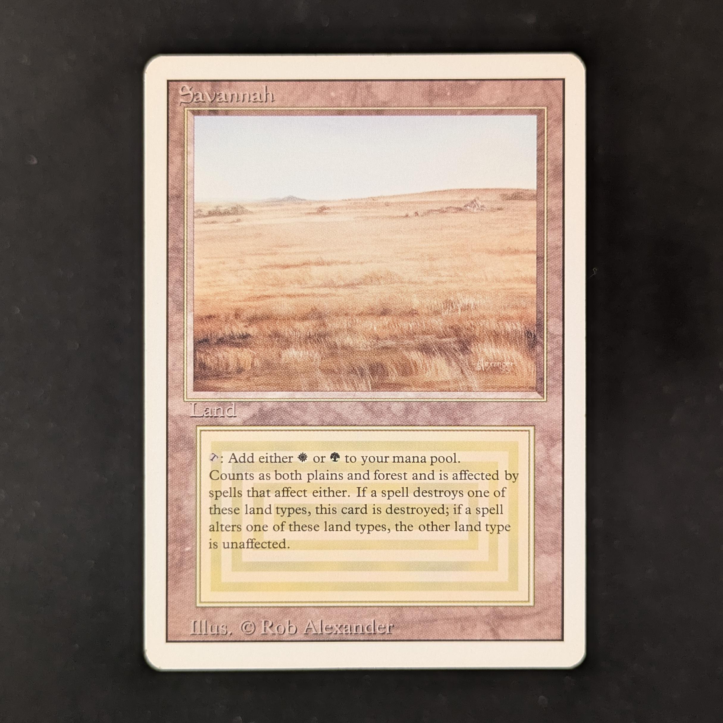 MTG Singles - Savannah - Revised - EX - 31708