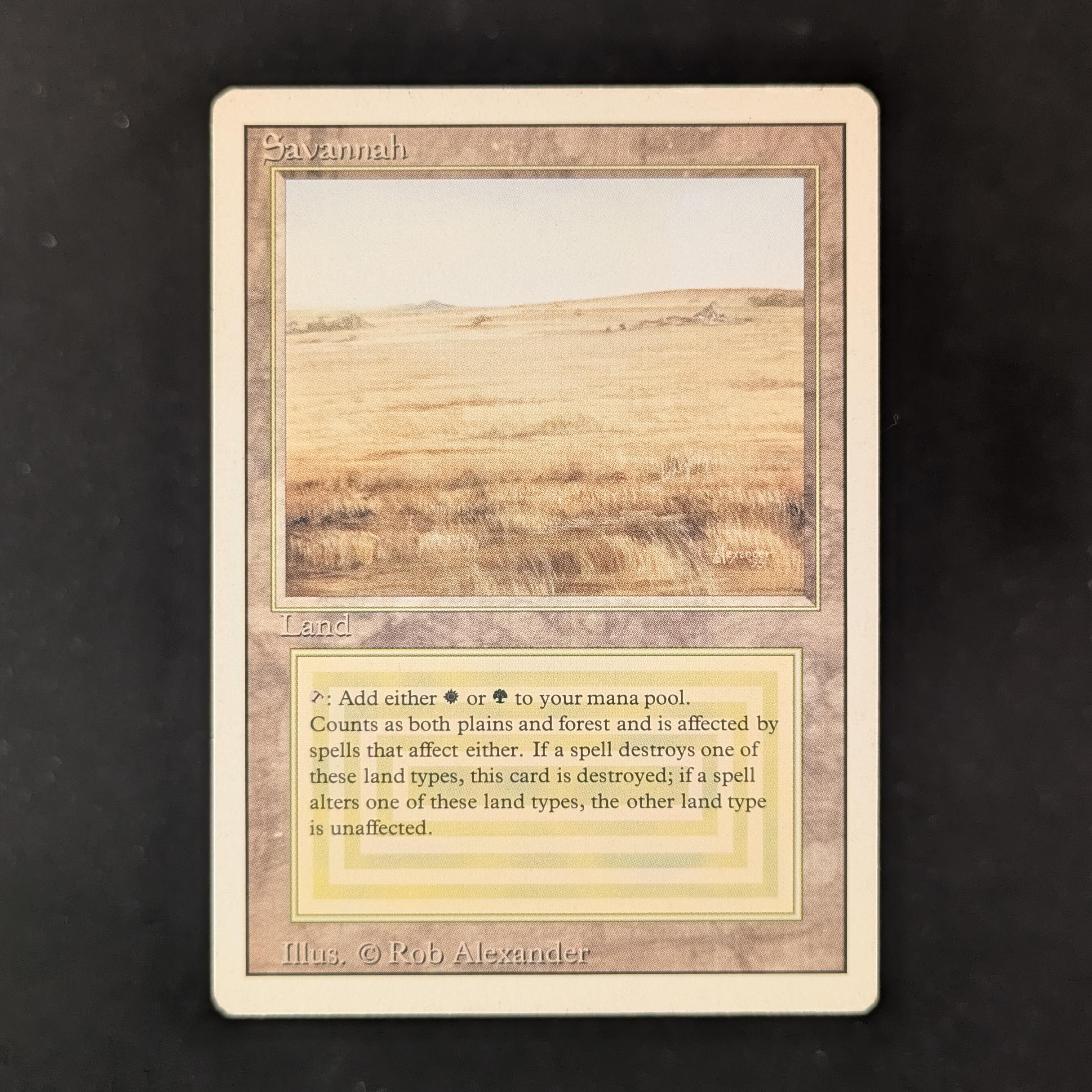 MTG Singles - Savannah - Revised - PL - 31712