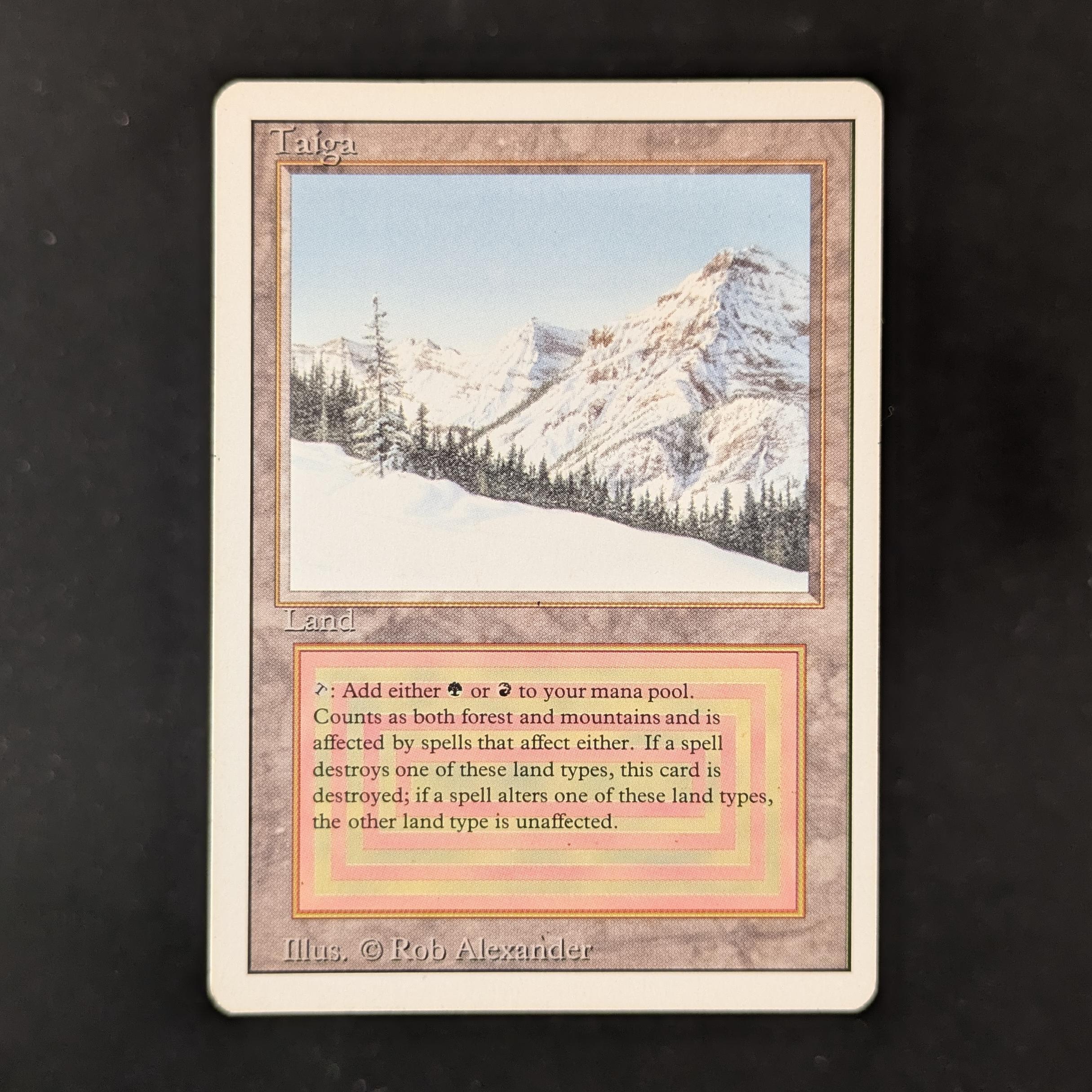 MTG Singles - Taiga - Revised - GD - 31720