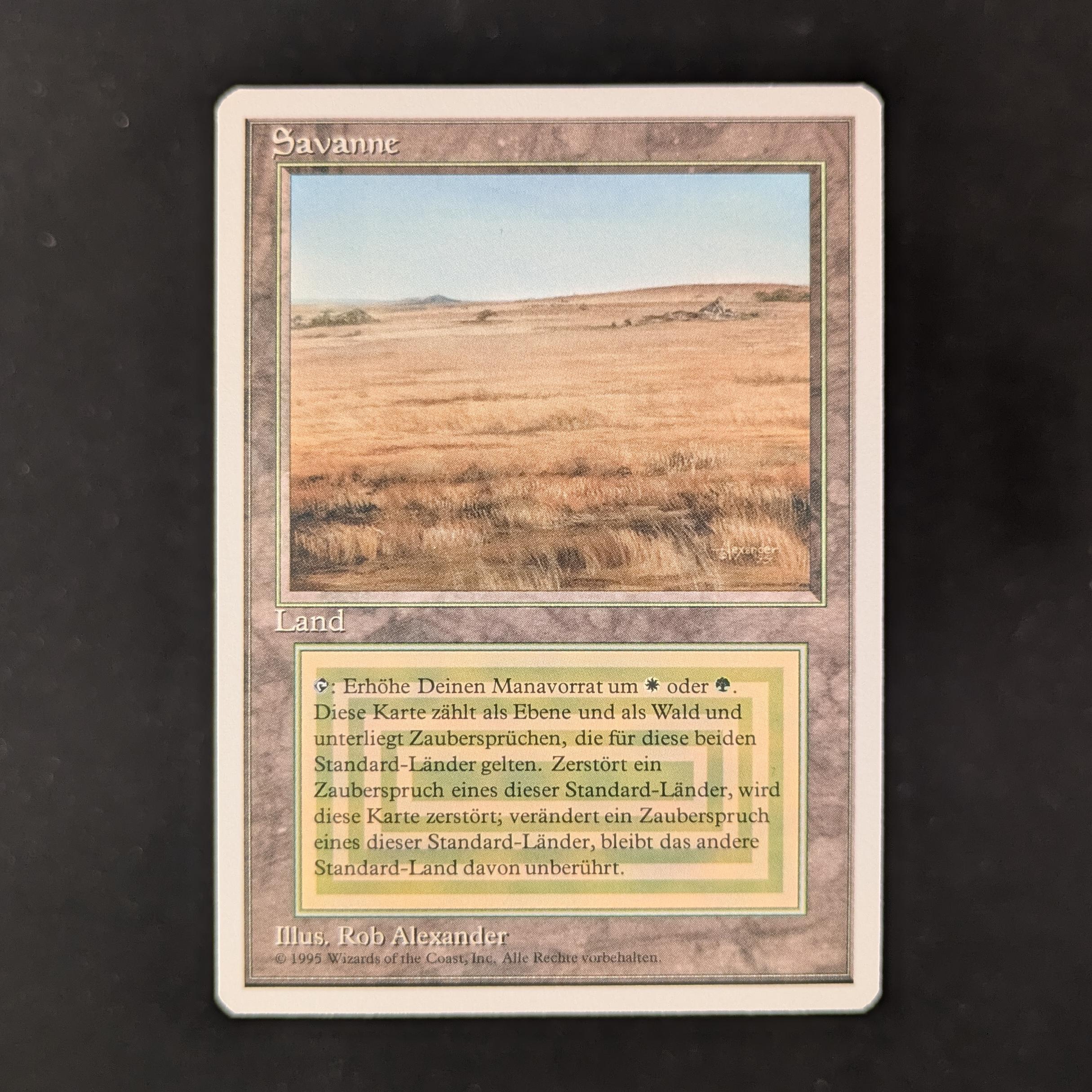 Savannah - Foreign White Bordered