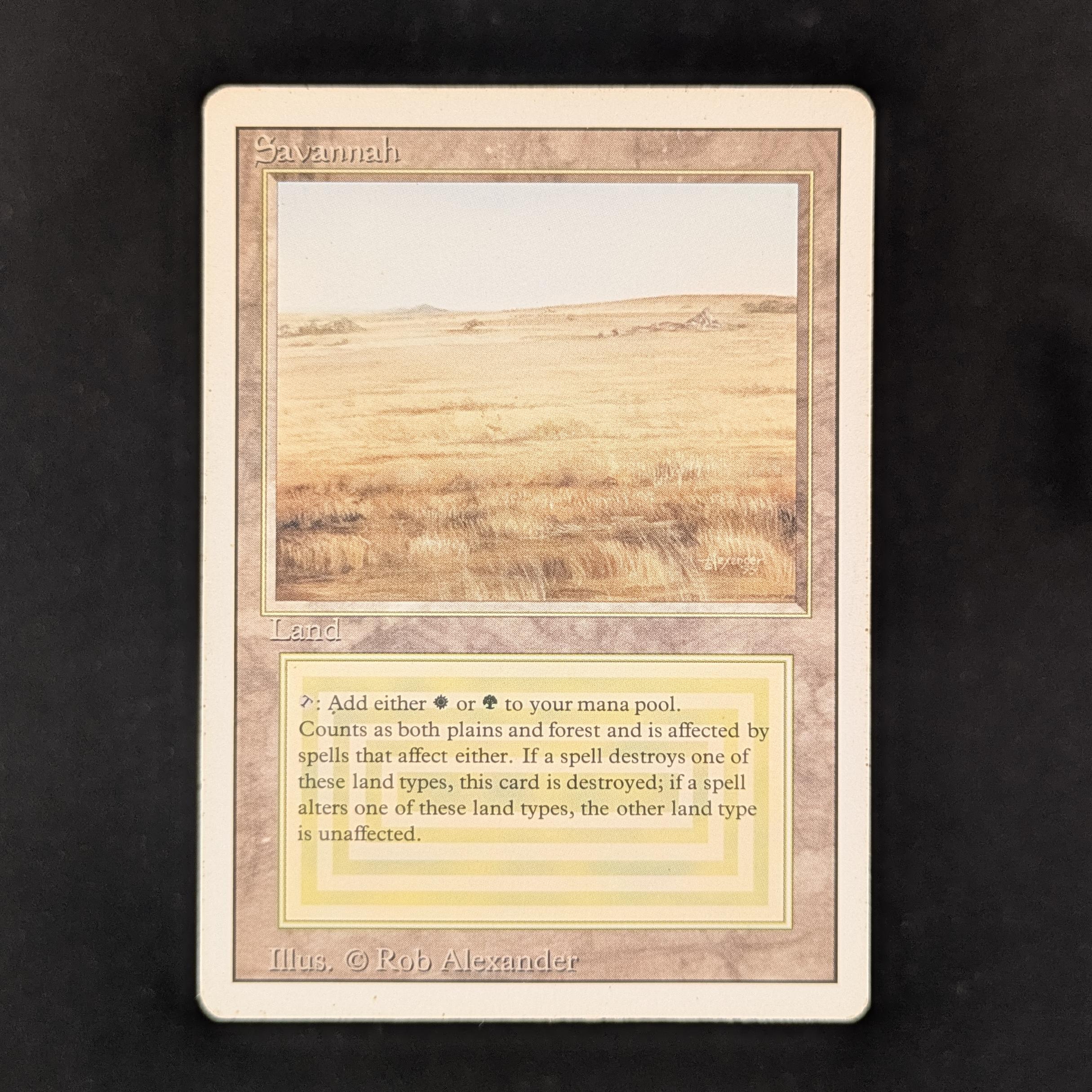 MTG Singles - Savannah - Revised - PL - 31934