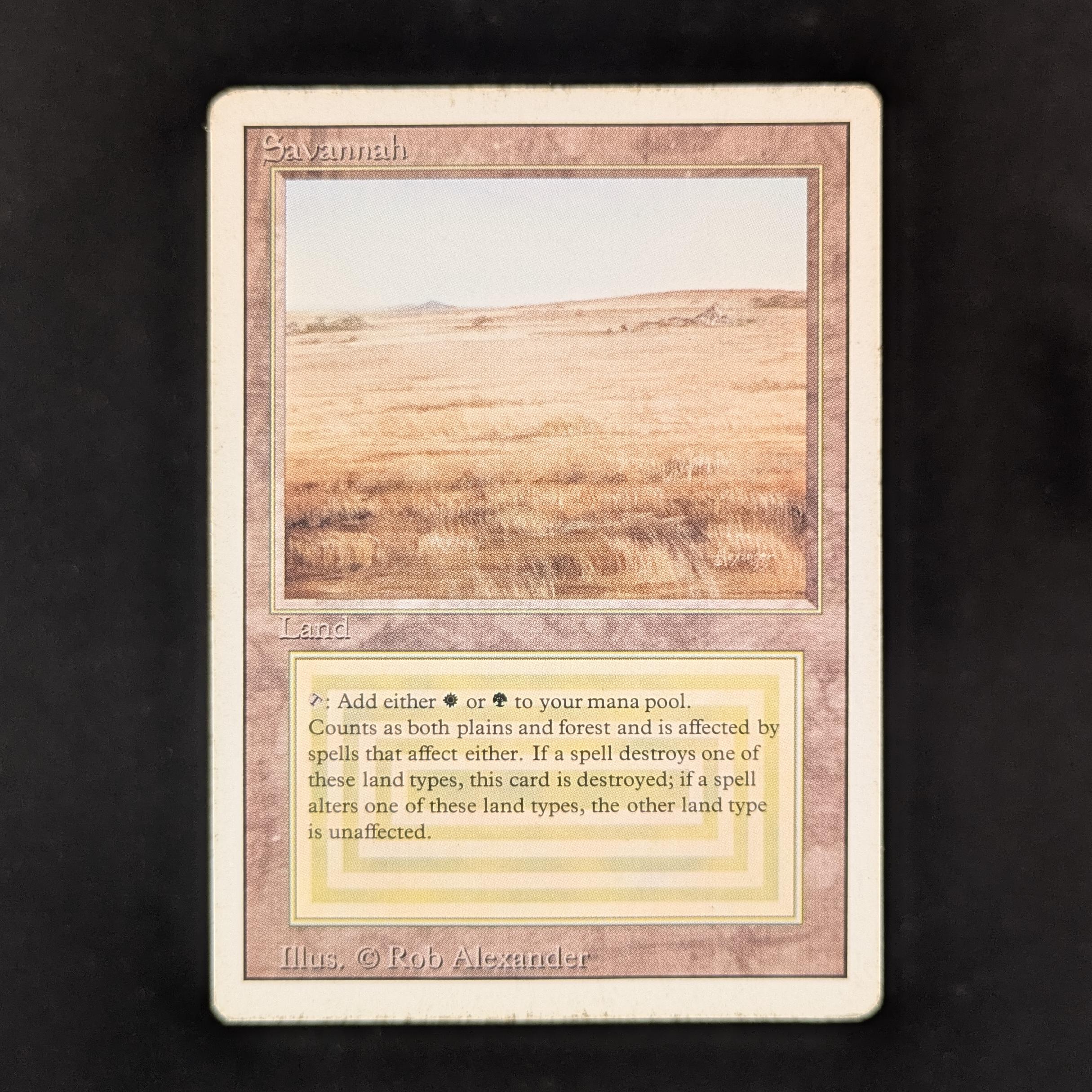 MTG Singles - Savannah - Revised - PL - 31936