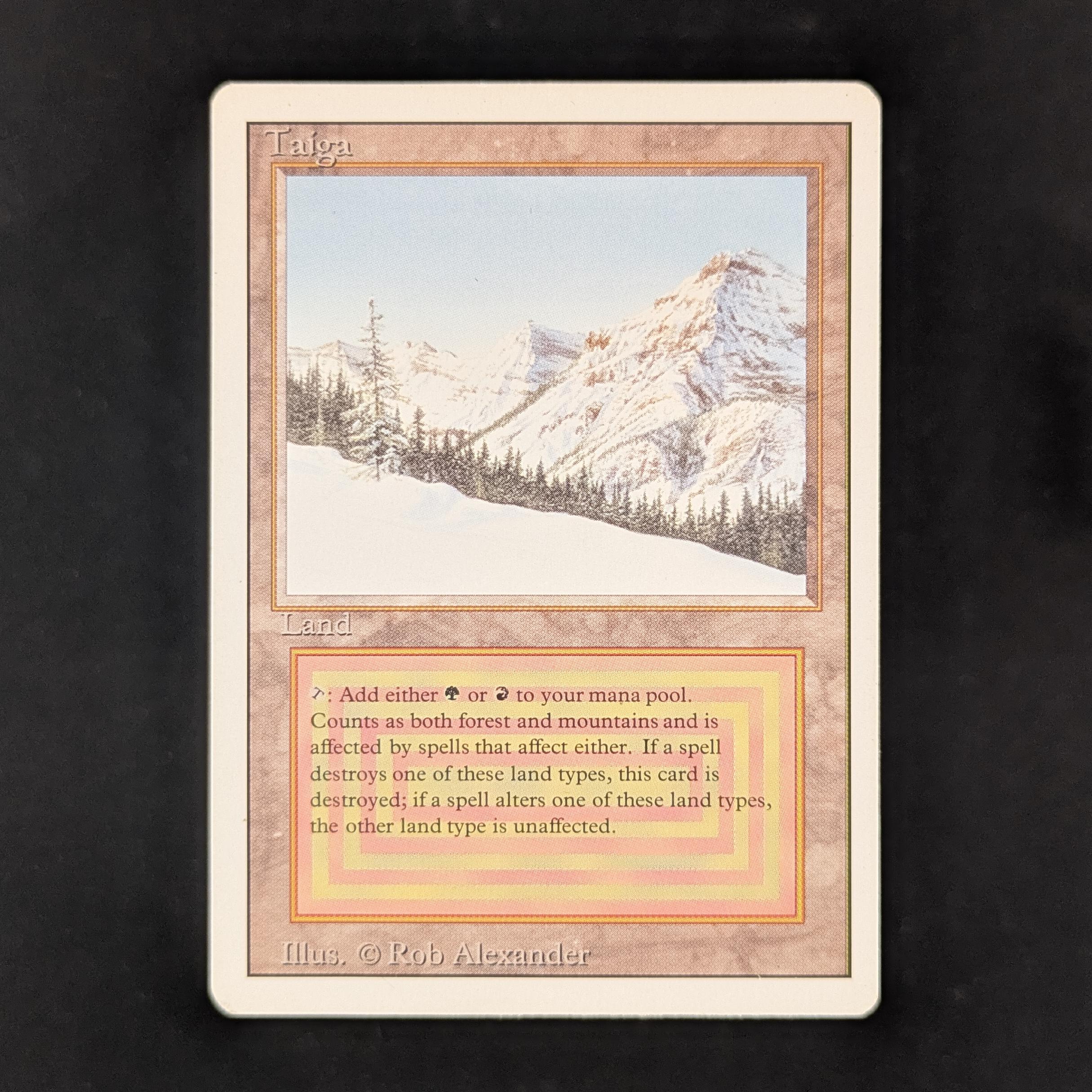 MTG Singles - Taiga - Revised - GD - 31942