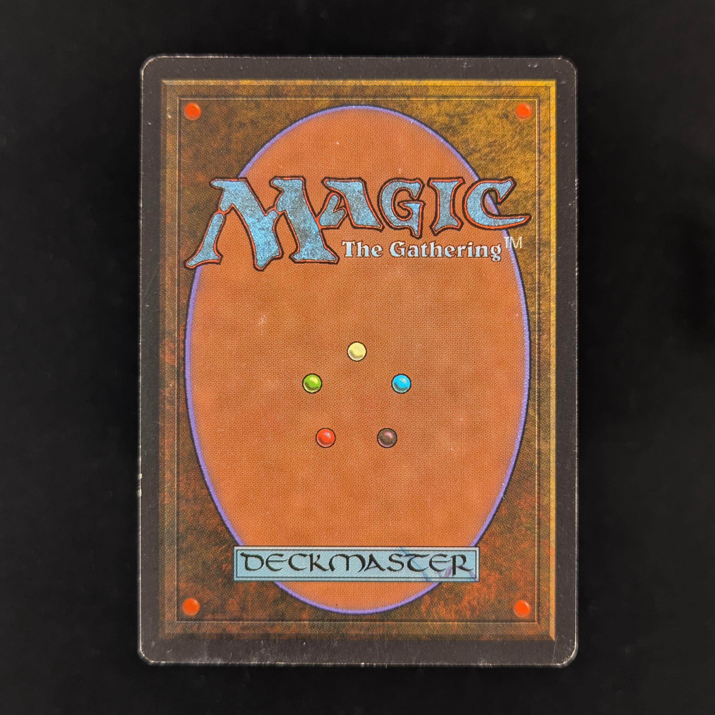 MTG Singles - Taiga - Revised - 