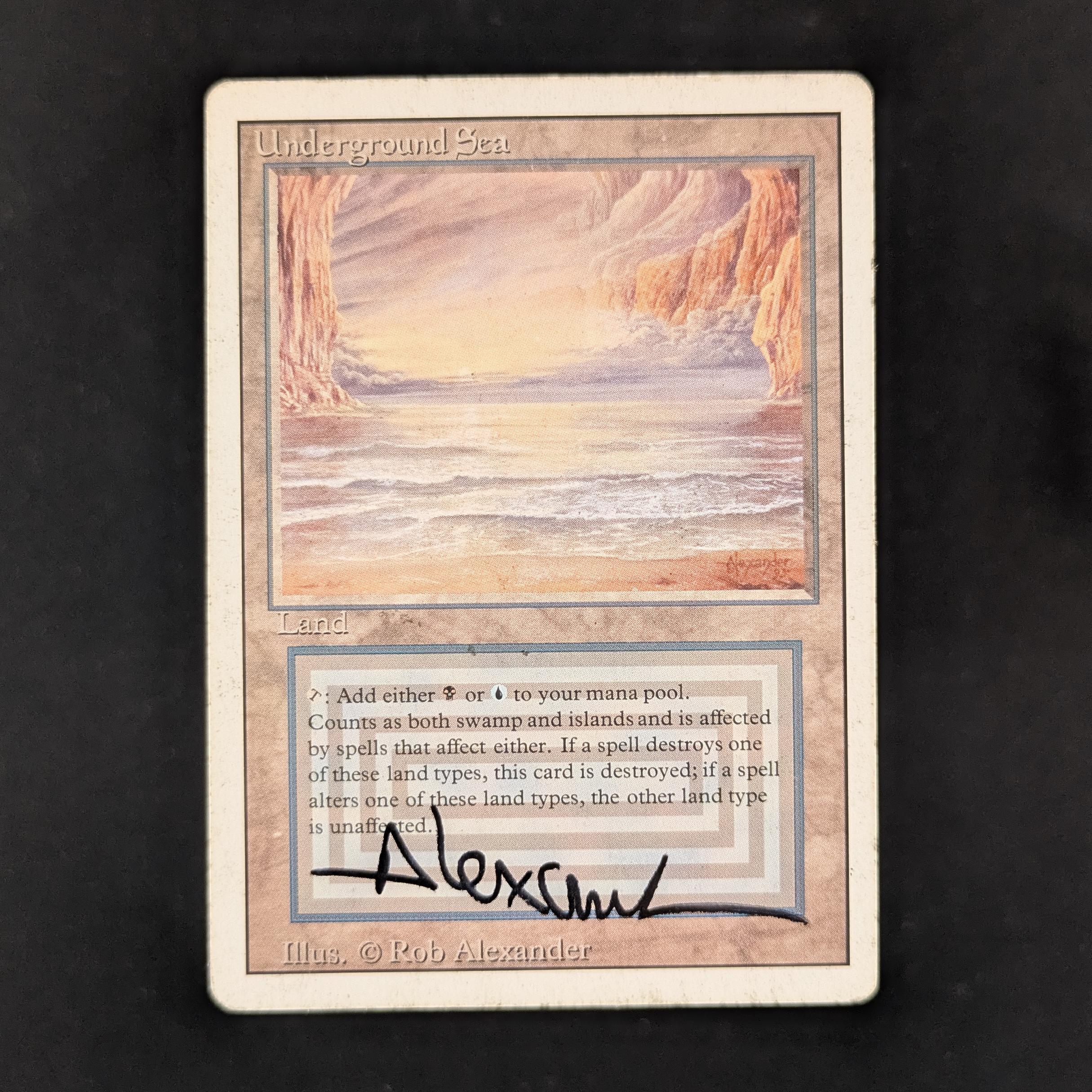 MTG Singles - Underground Sea - Revised - PL - SIGNED - 31951
