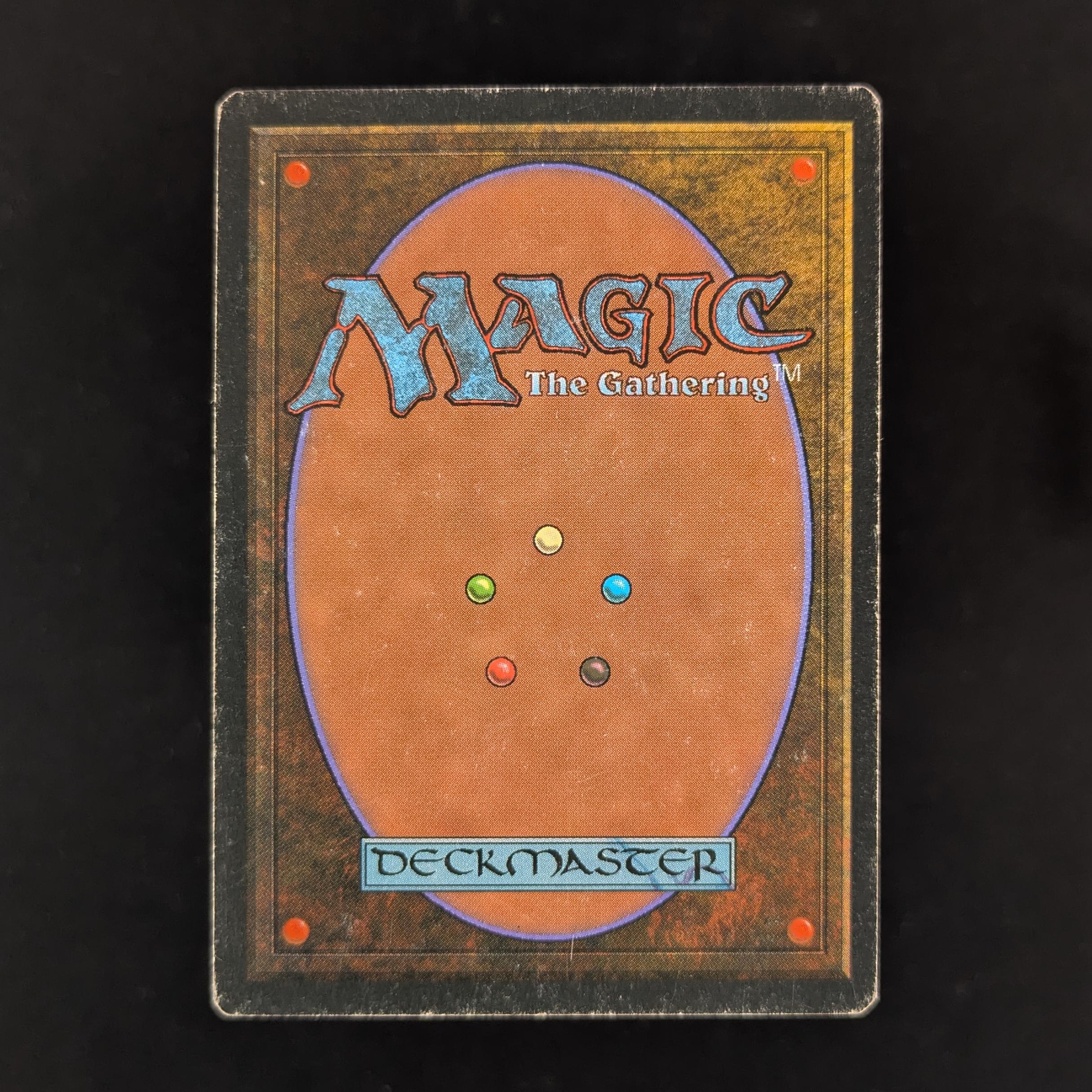 MTG Singles - Bayou - Foreign Black Bordered - 