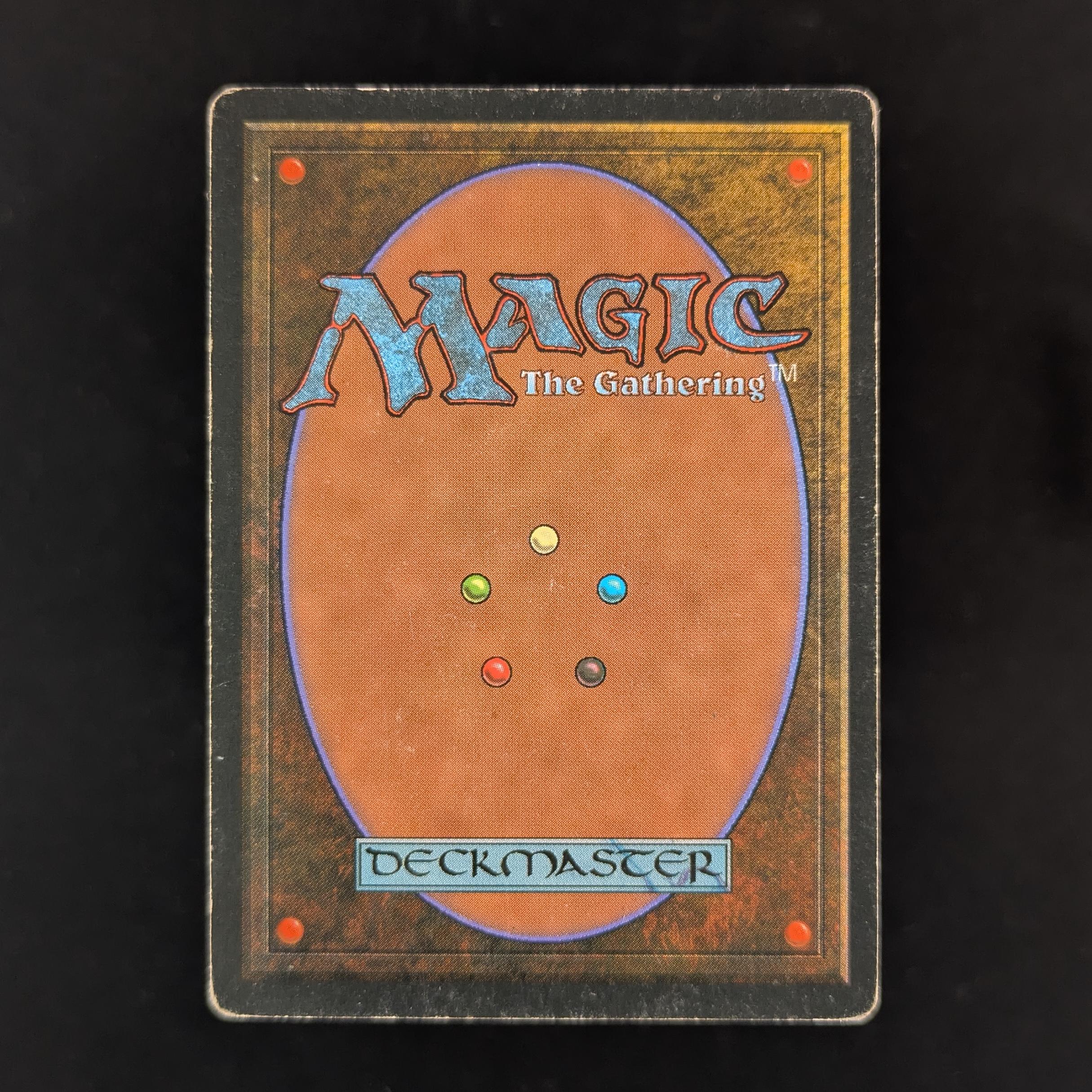 MTG Singles - Savannah - Foreign Black Bordered - 