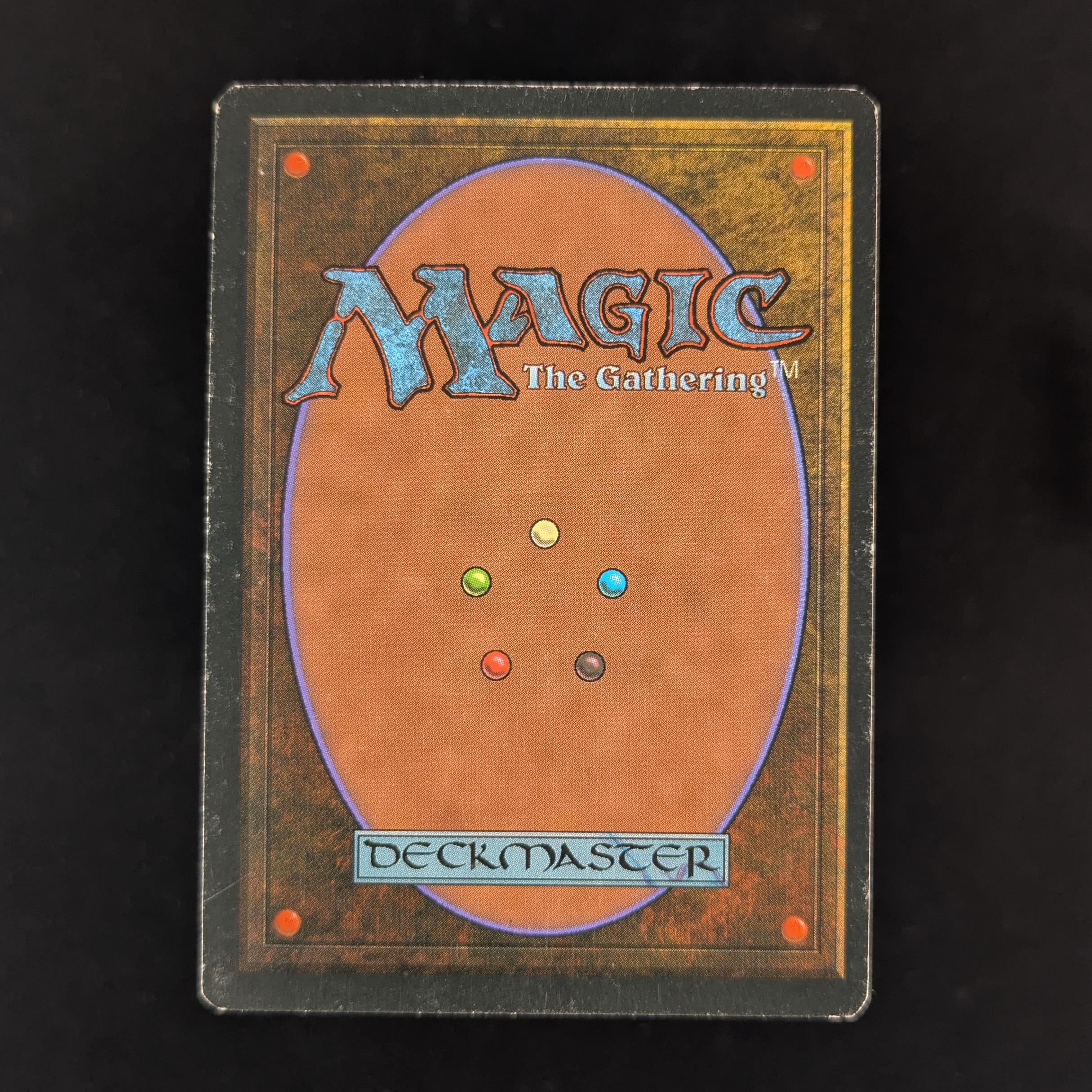 MTG Singles - Bayou - Foreign White Bordered - 