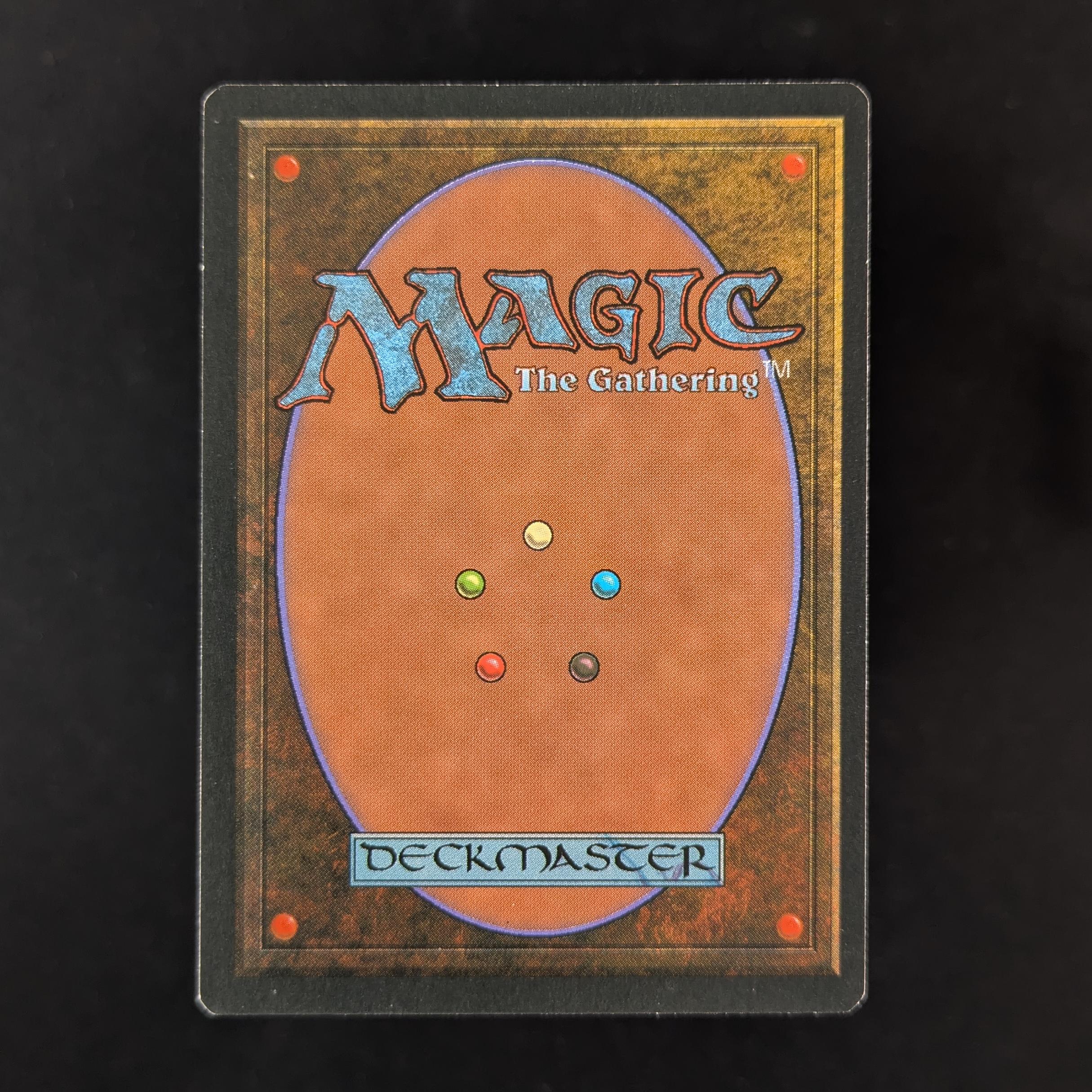 MTG Singles - Bayou - Foreign Black Bordered - 
