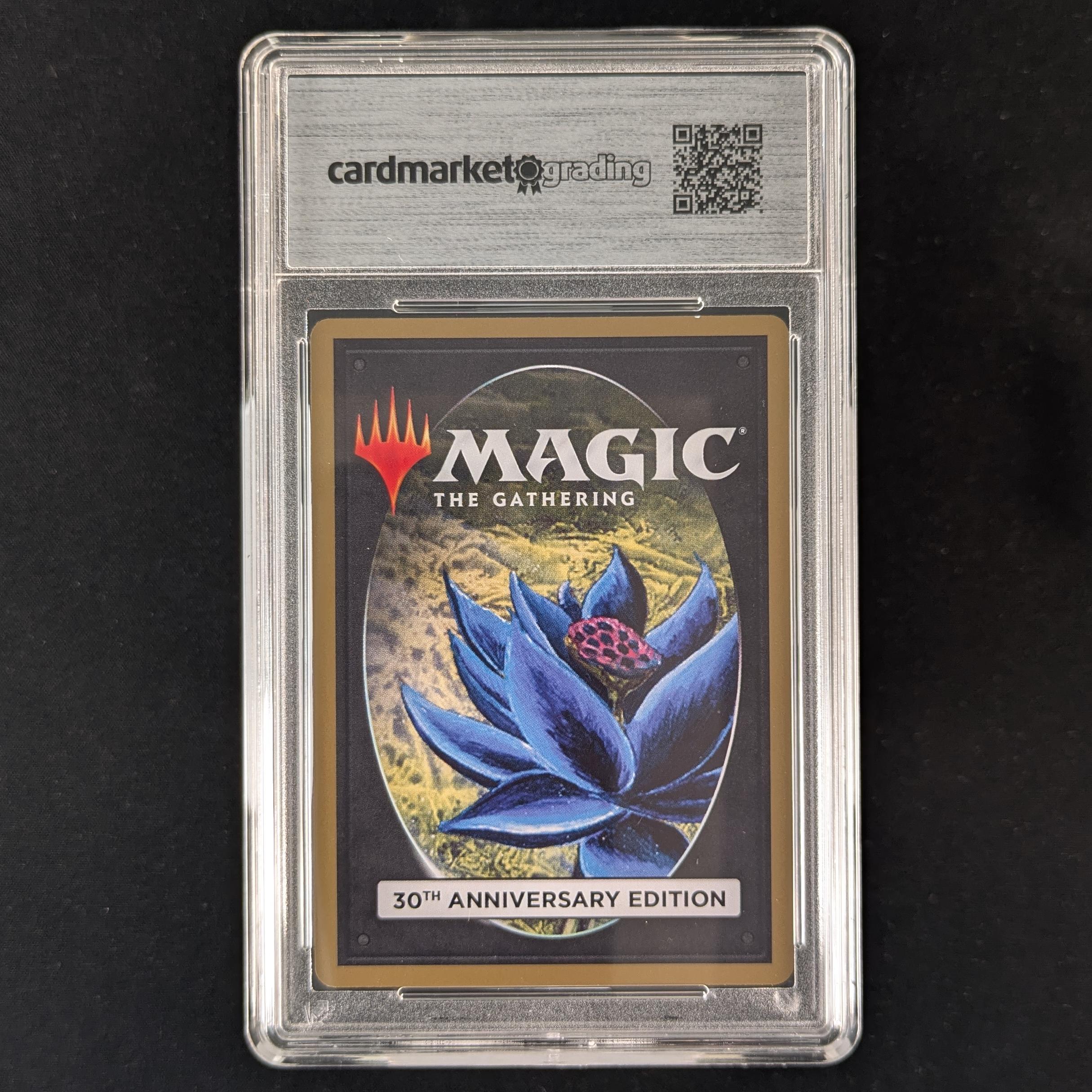 MTG Singles - Taiga (Modern Frame) - 30th Anniversary Edition - 