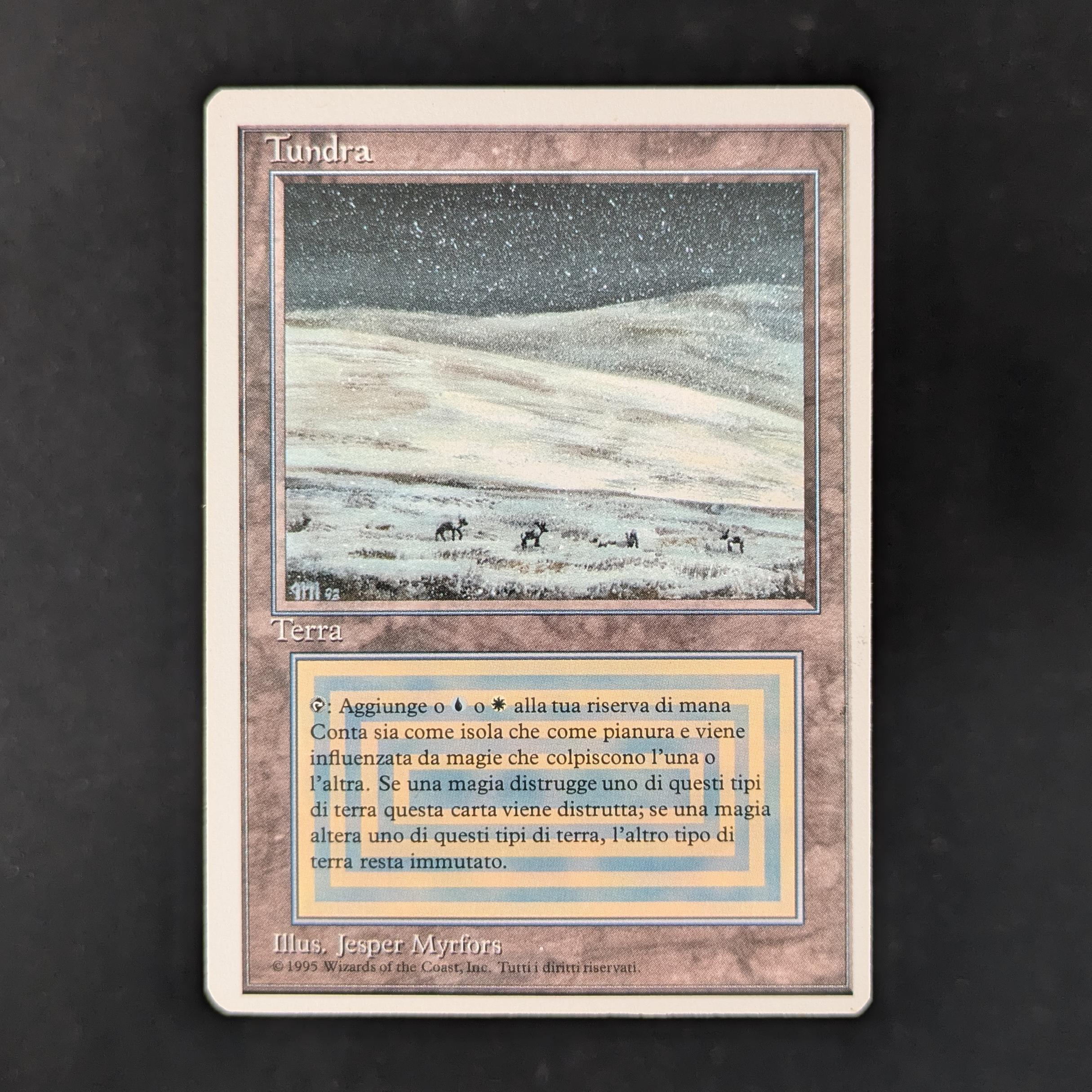 Tundra - Foreign White Bordered
