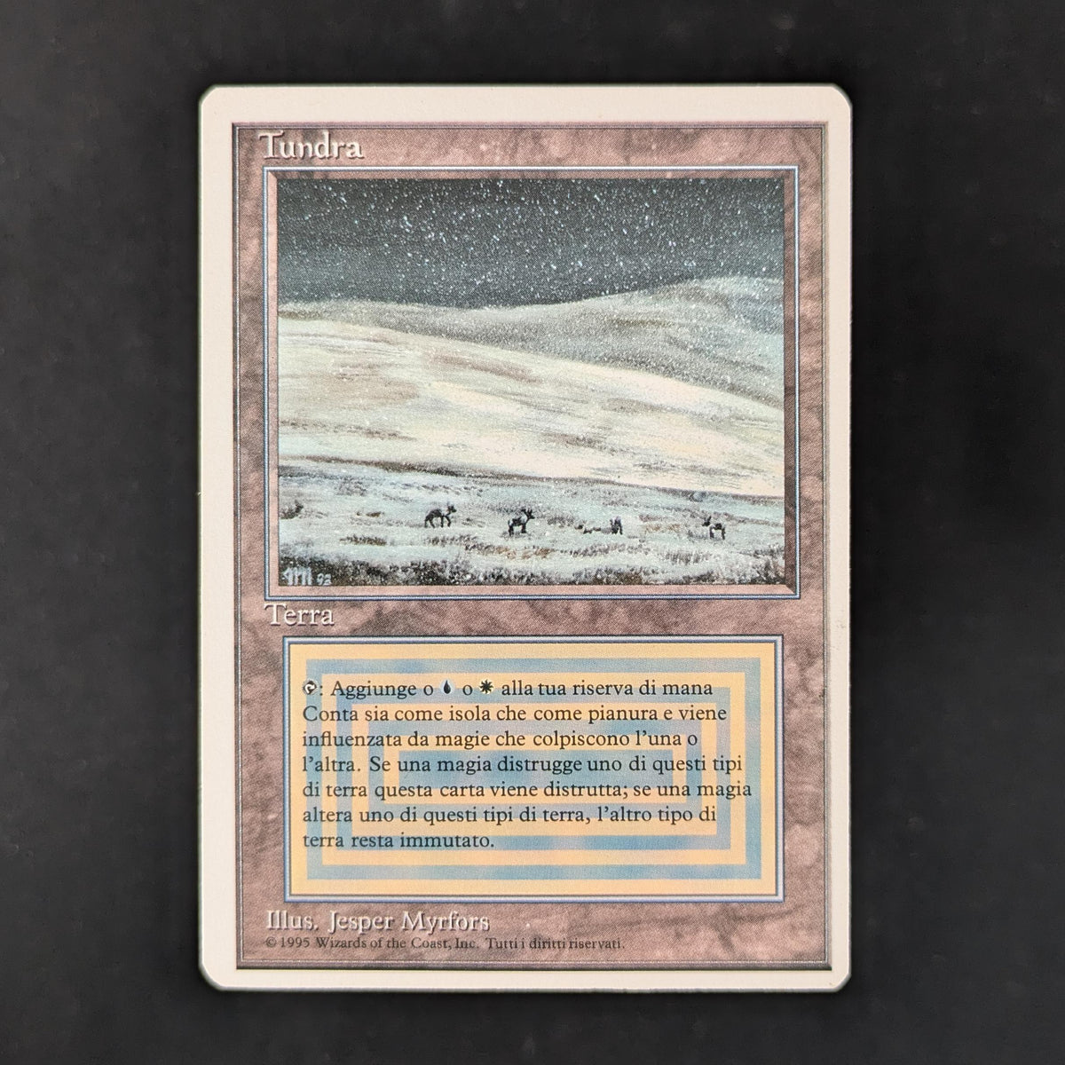 Tundra - Foreign White Bordered