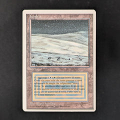 Tundra - Foreign White Bordered