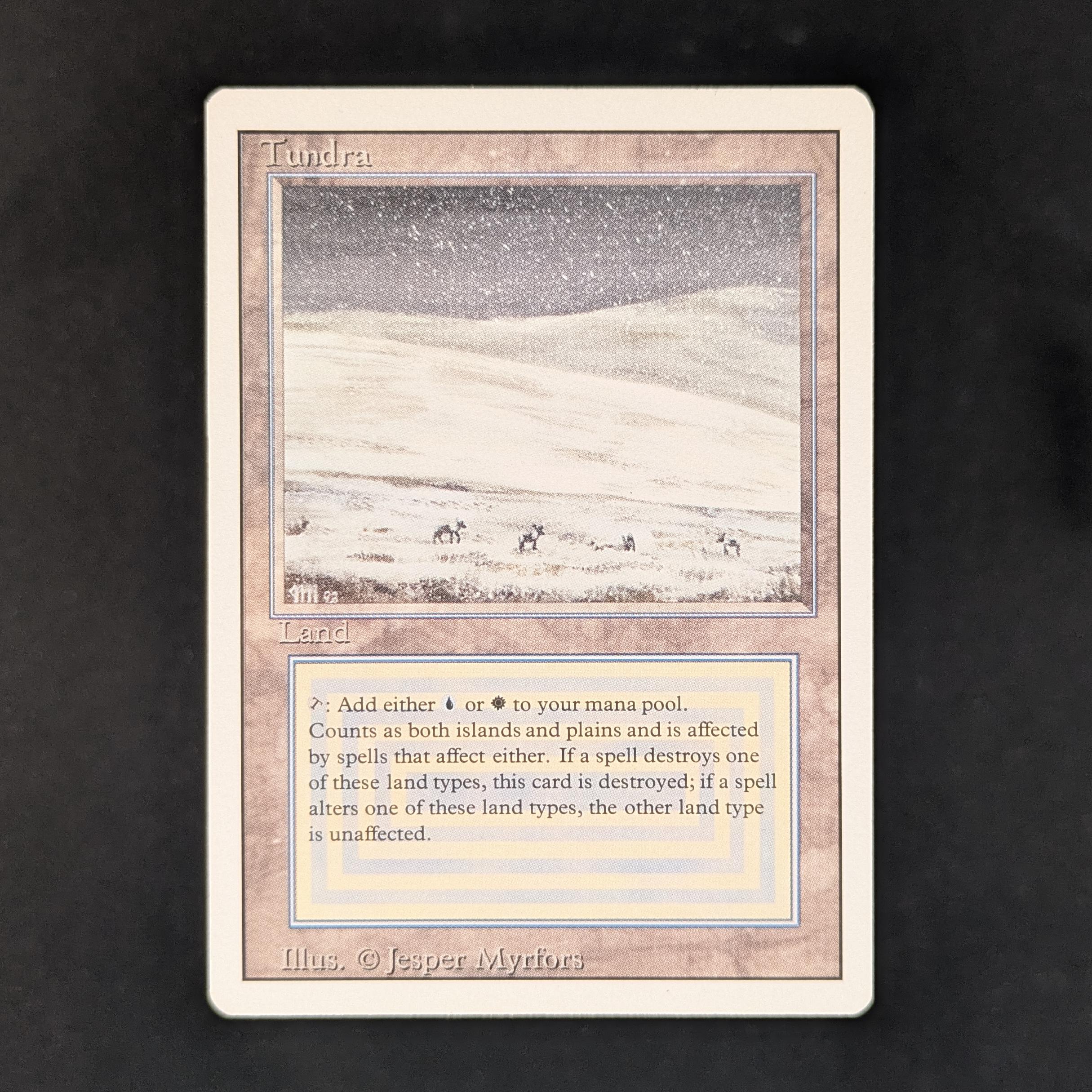 MTG (英)Tundra (Revised版) BGS9 Tundra (Tundra) · Revised Edition (3ED) #289 · Scryfall Magic: The