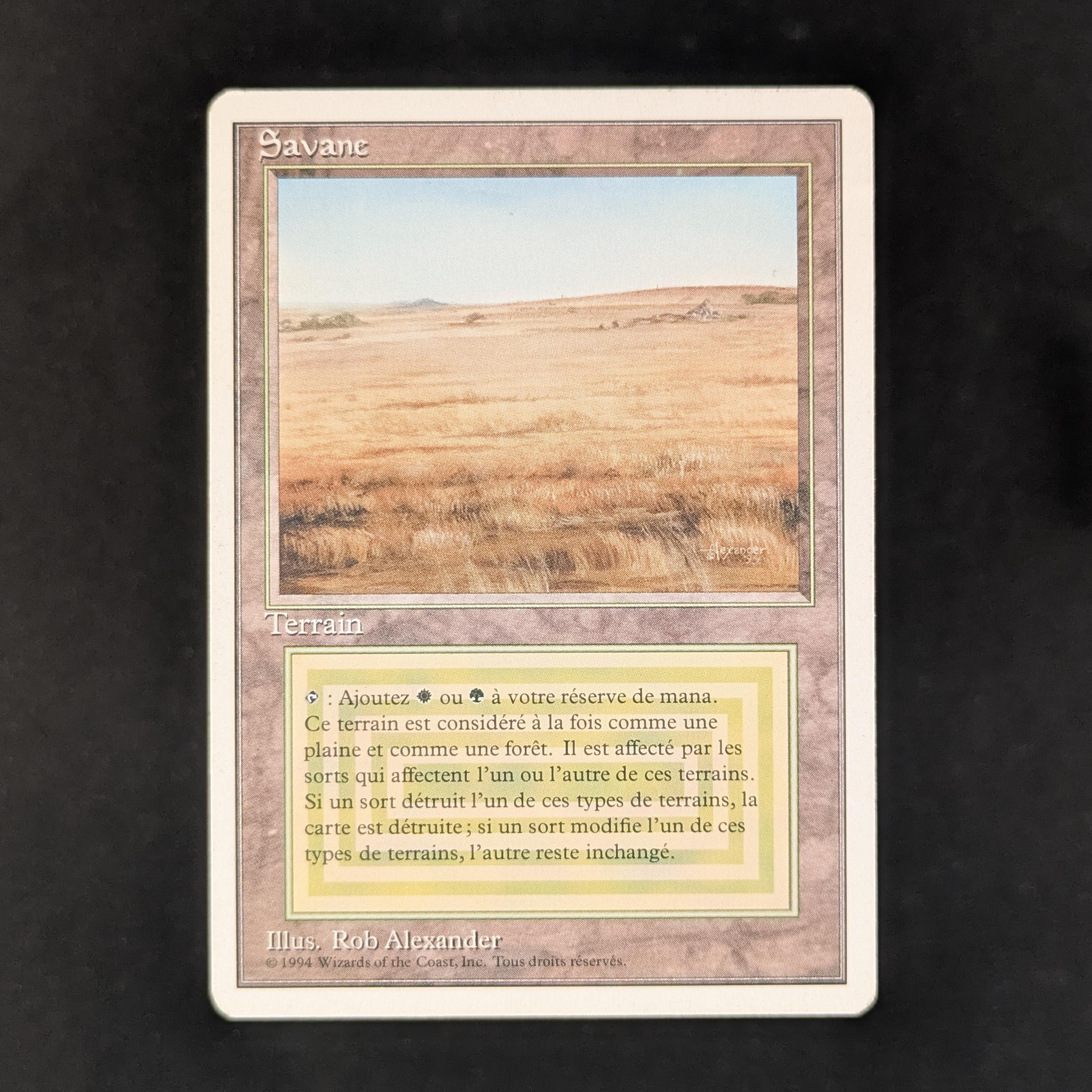 Savannah - Foreign White Bordered