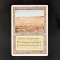 Savannah - Foreign White Bordered
