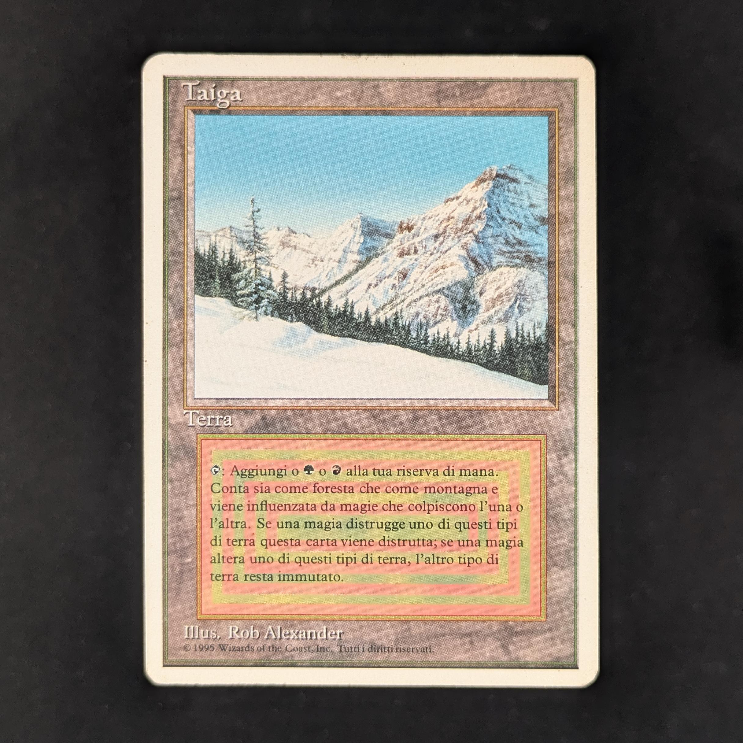 Taiga - Foreign White Bordered
