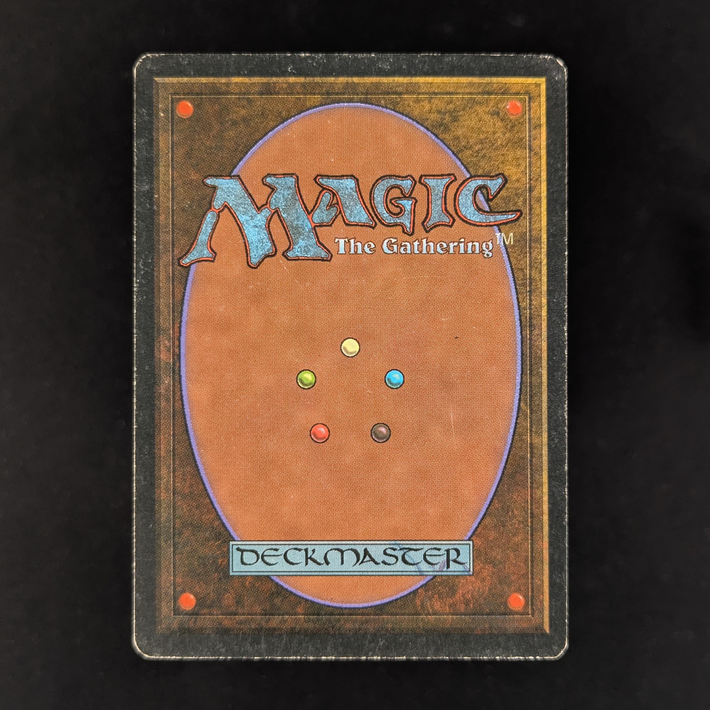 MTG Singles - Taiga - Foreign White Bordered - 