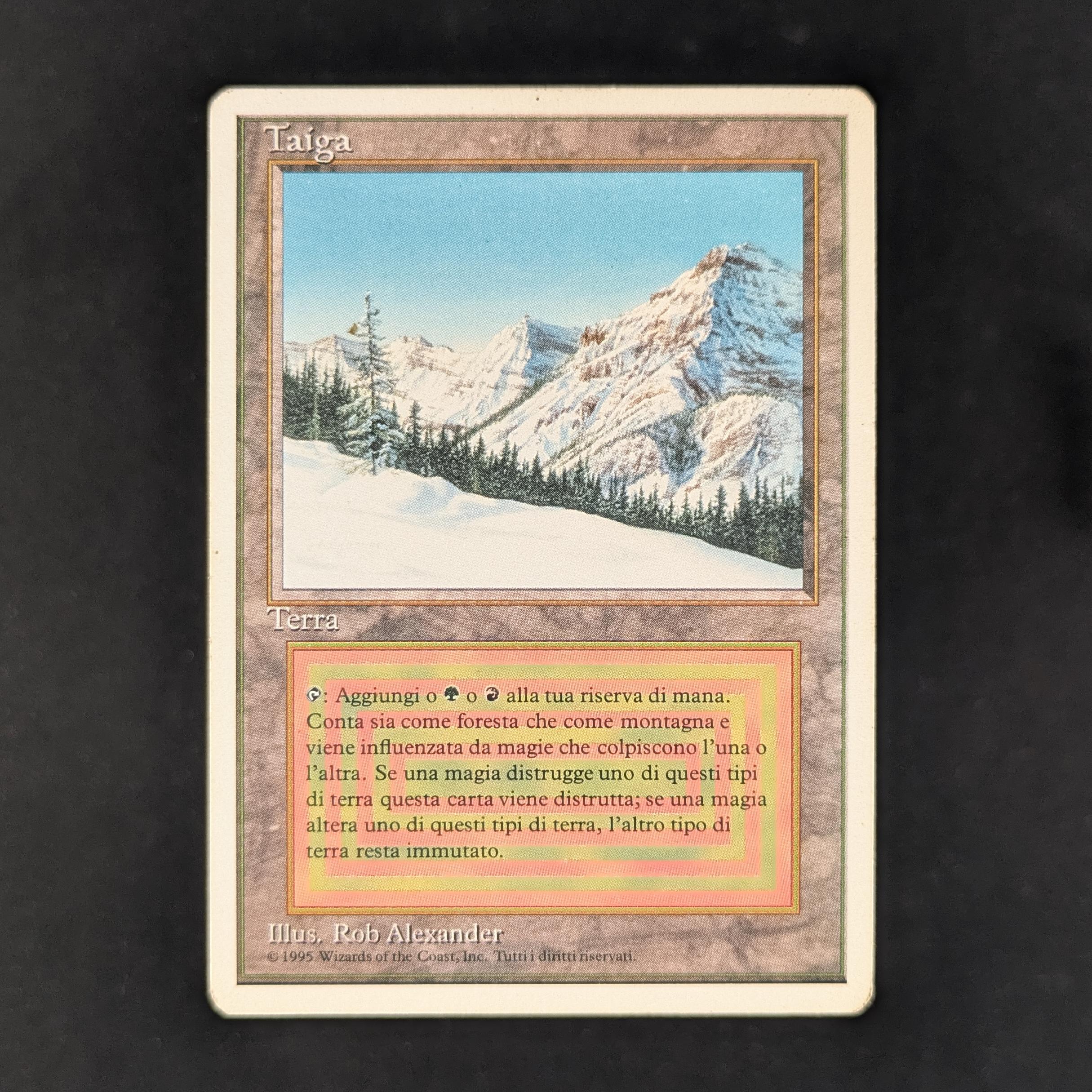 MTG Singles - Taiga - Foreign White Bordered - Italian - LP - 32286