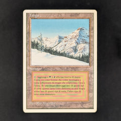 Taiga - Foreign White Bordered