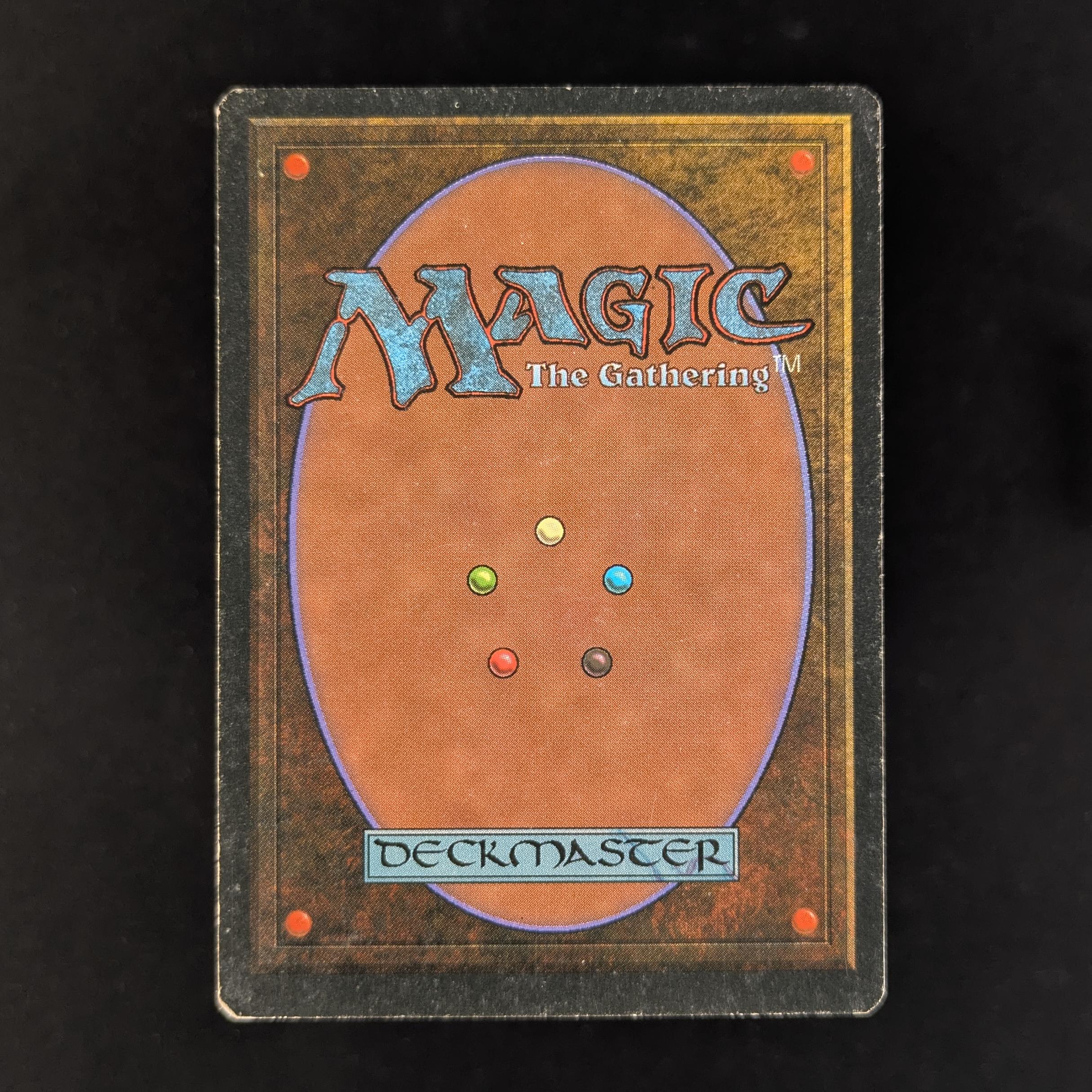 MTG Singles - Taiga - Foreign White Bordered - 