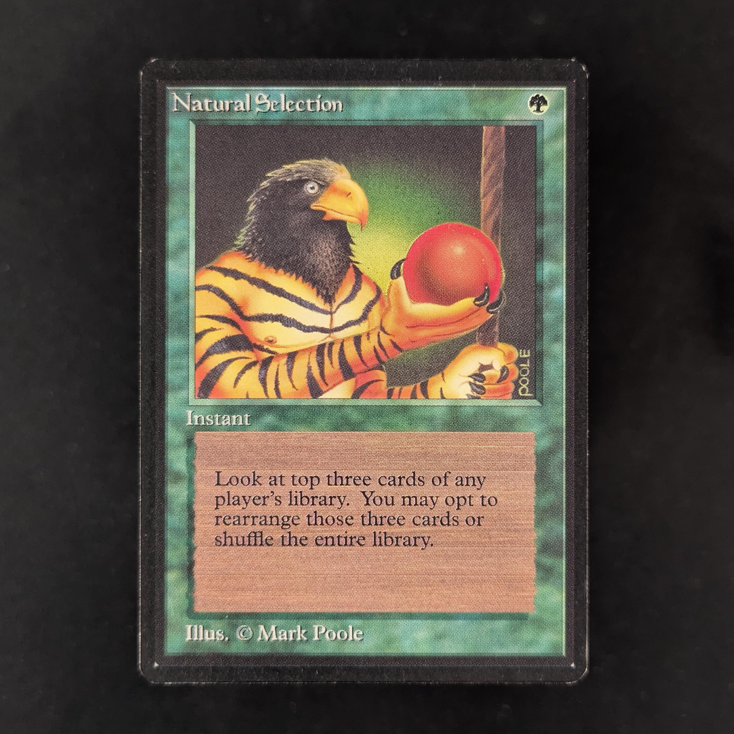 MTG Singles - Natural Selection - Beta - EX - 32387
