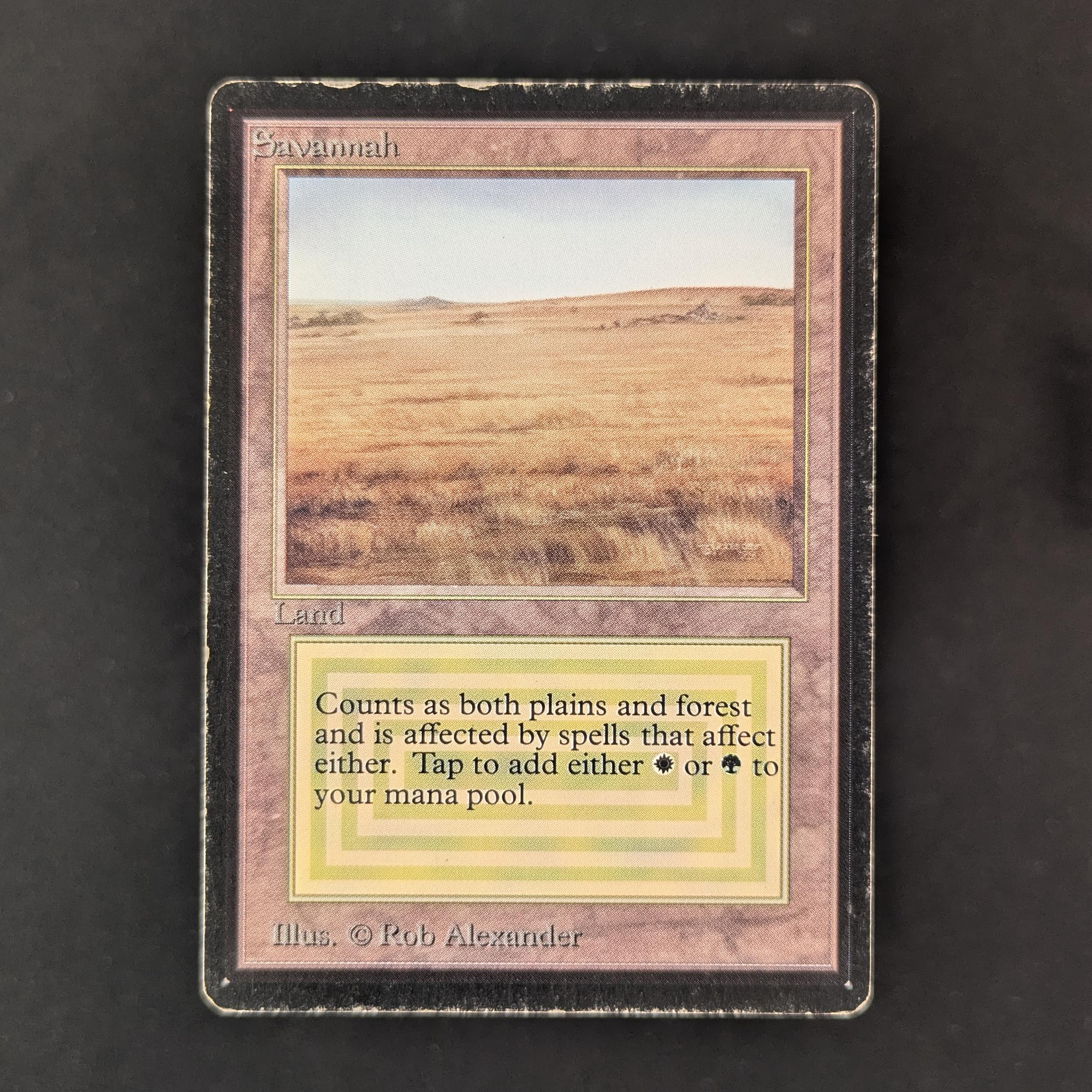 MTG Singles - Savannah - Beta - PL - 32416