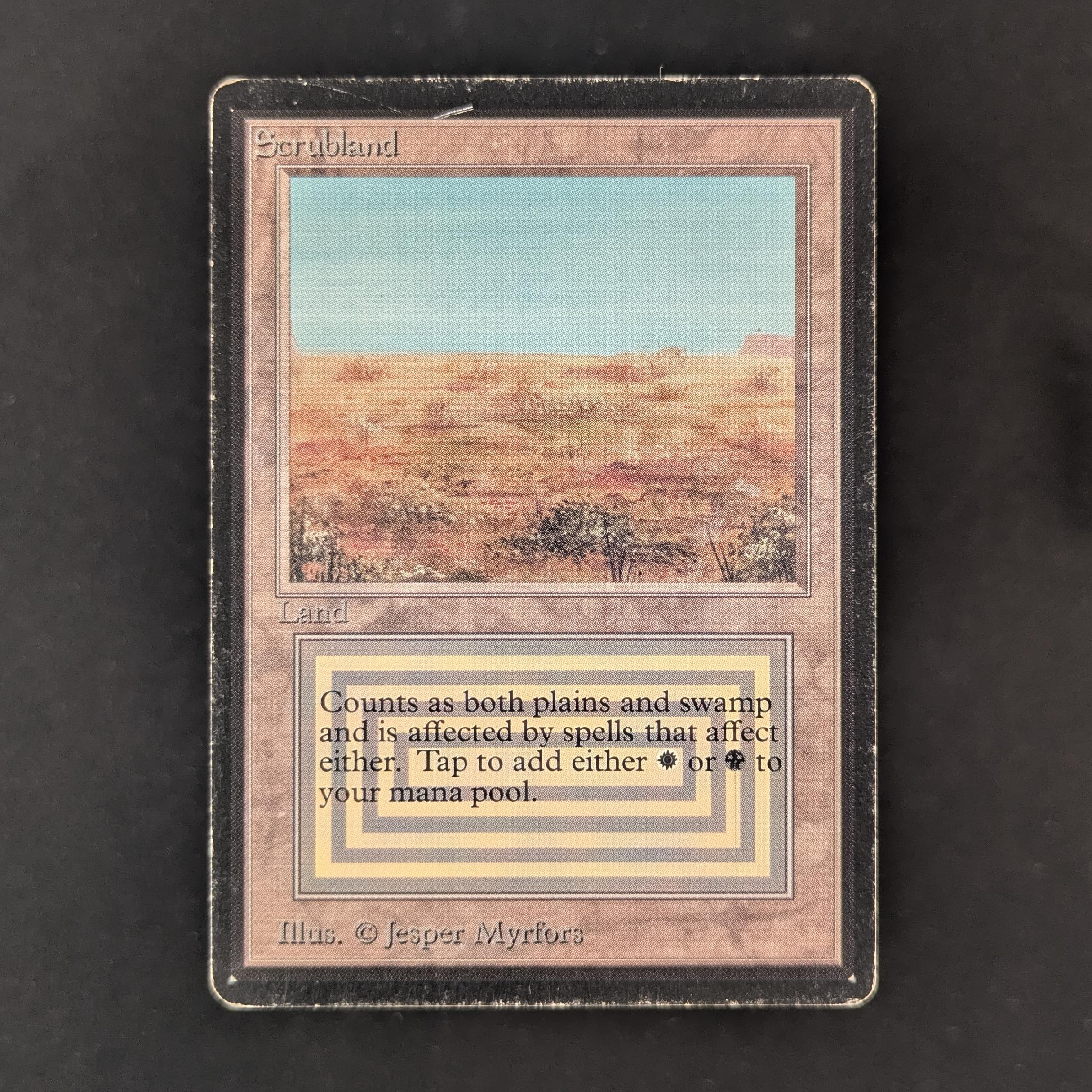 MTG Singles - Scrubland - Beta - PL - 32417