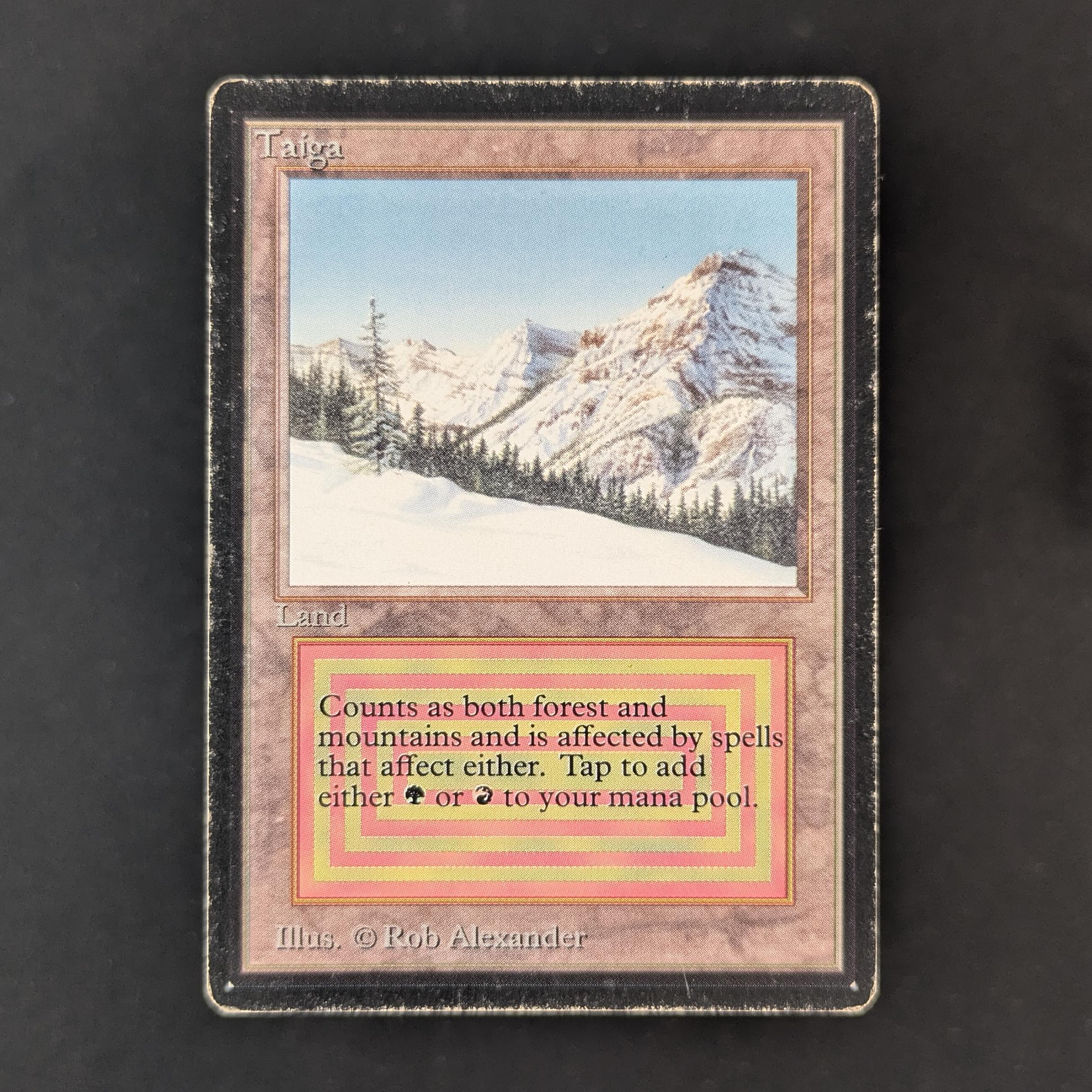 MTG　Taiga　ベータ　Beta　β Taiga - Beta