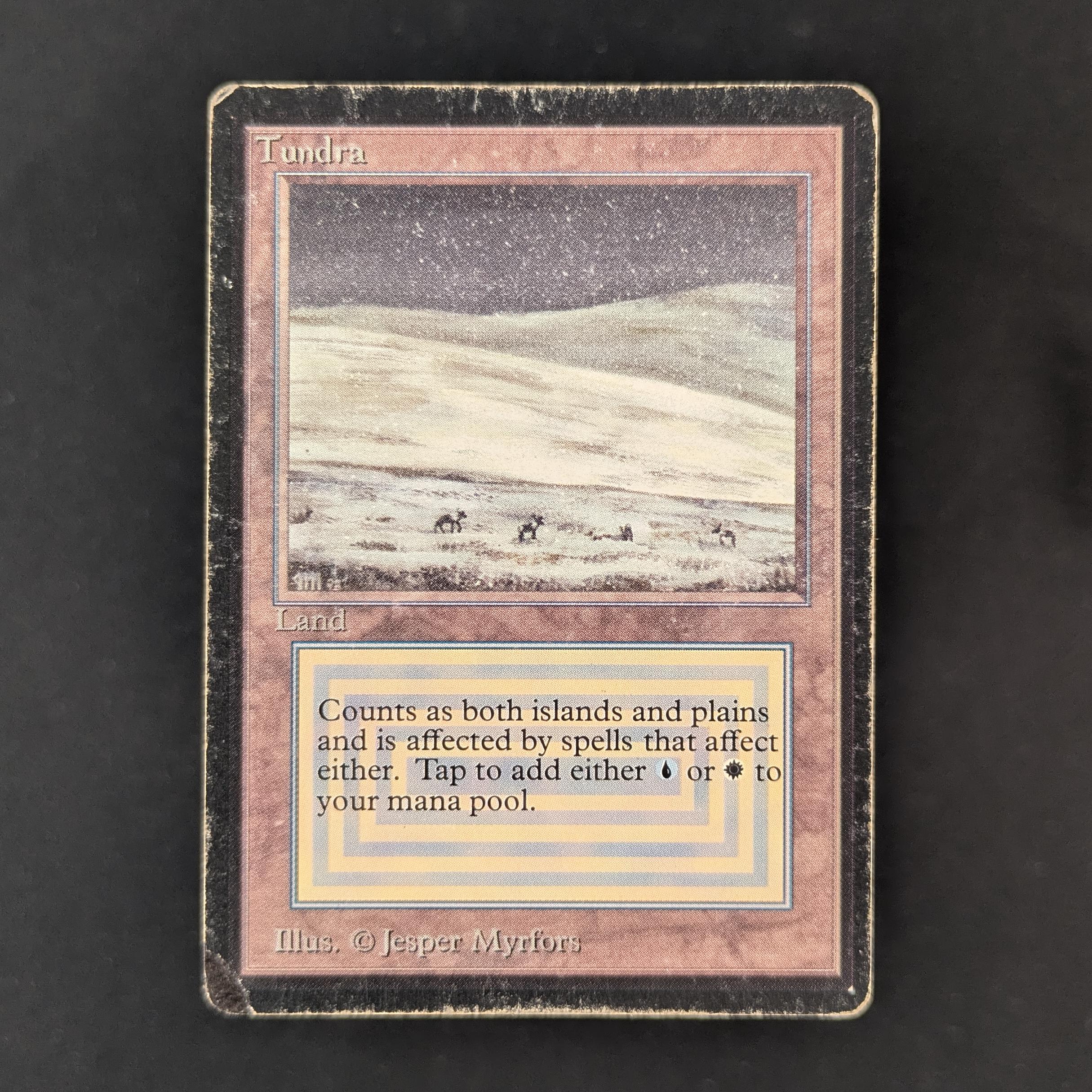 MTG Singles - Tundra - Beta - PO - INKED - 32420