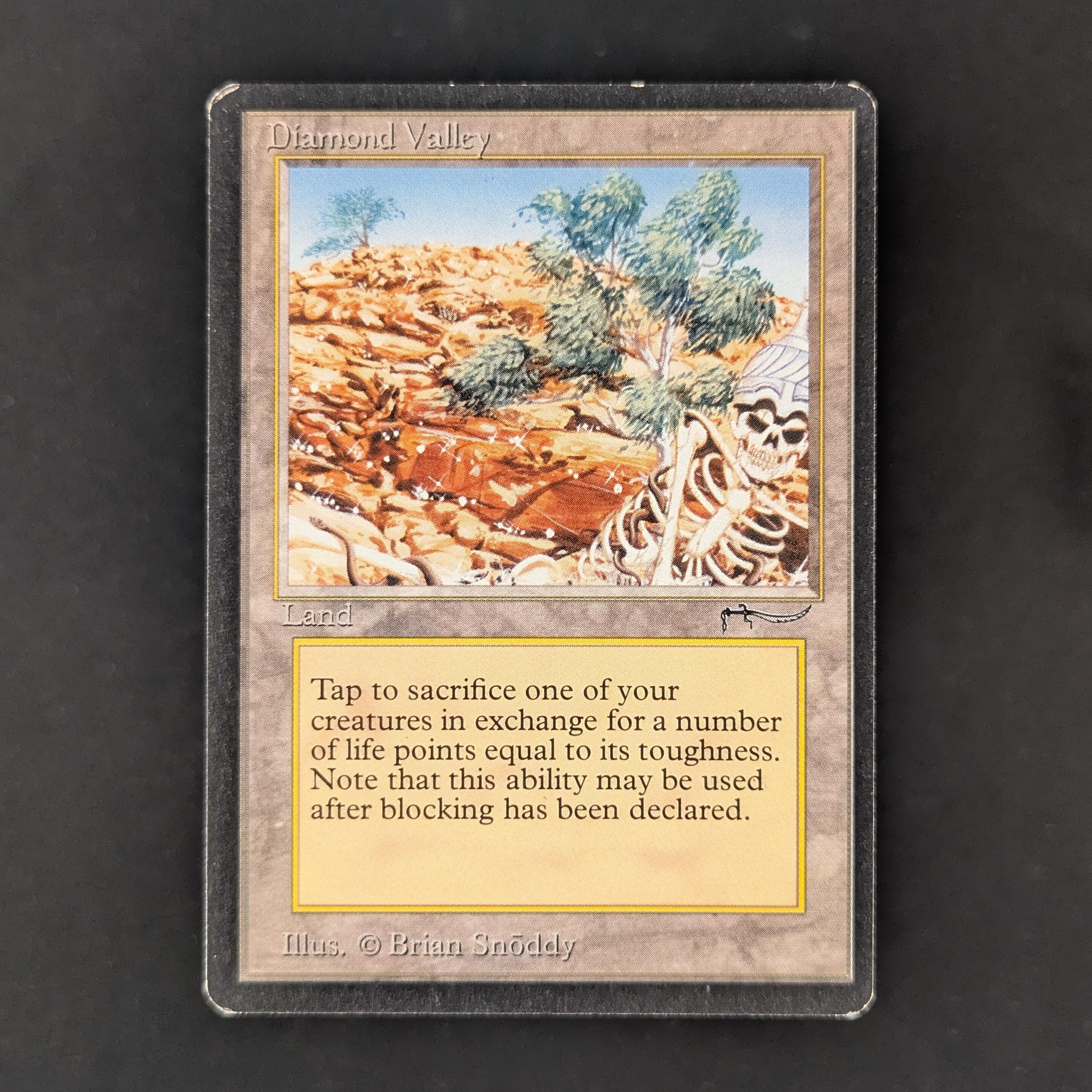 MTG Singles - Diamond Valley - Arabian Nights - GD - 32438