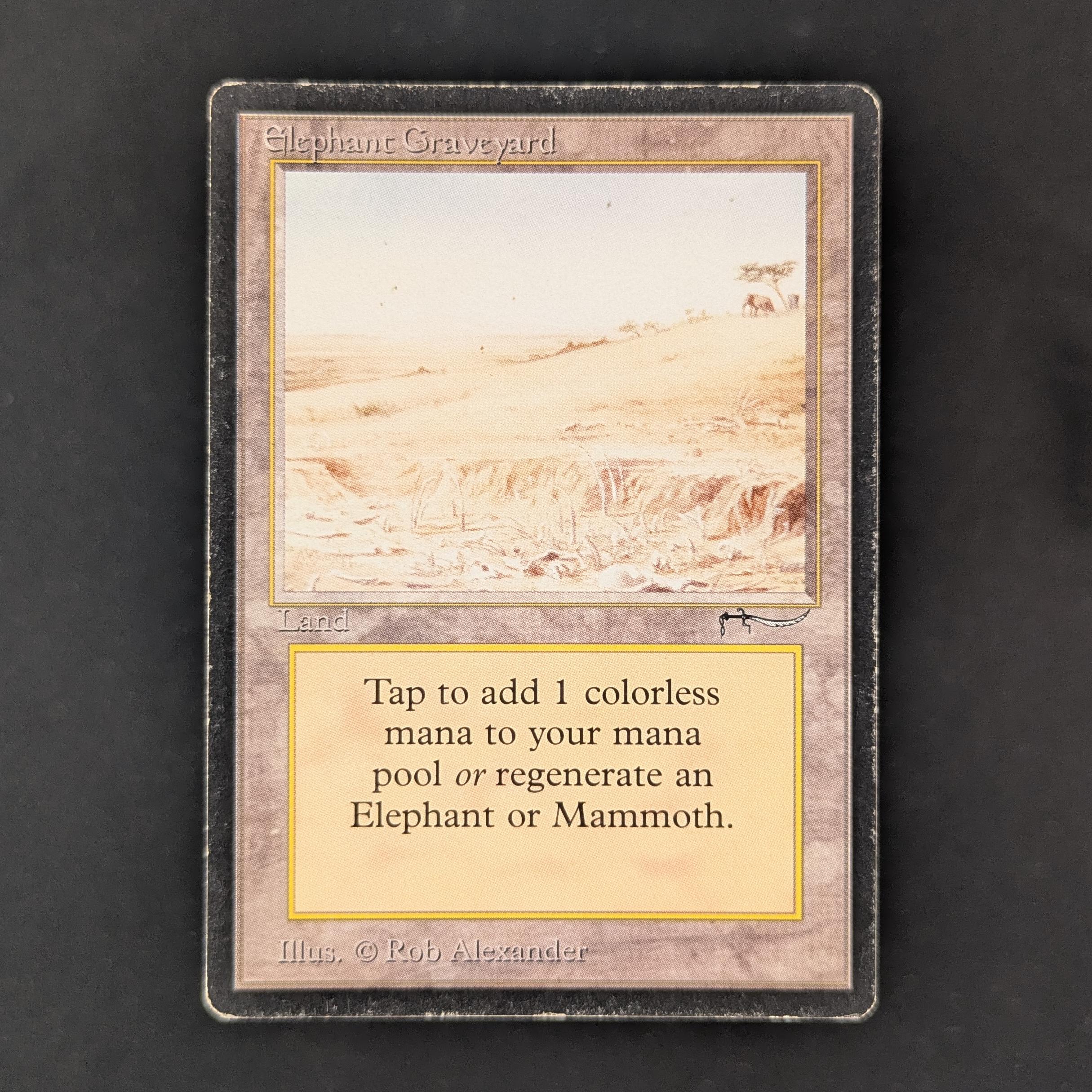MTG Singles - Elephant Graveyard - Arabian Nights - PL - 32439
