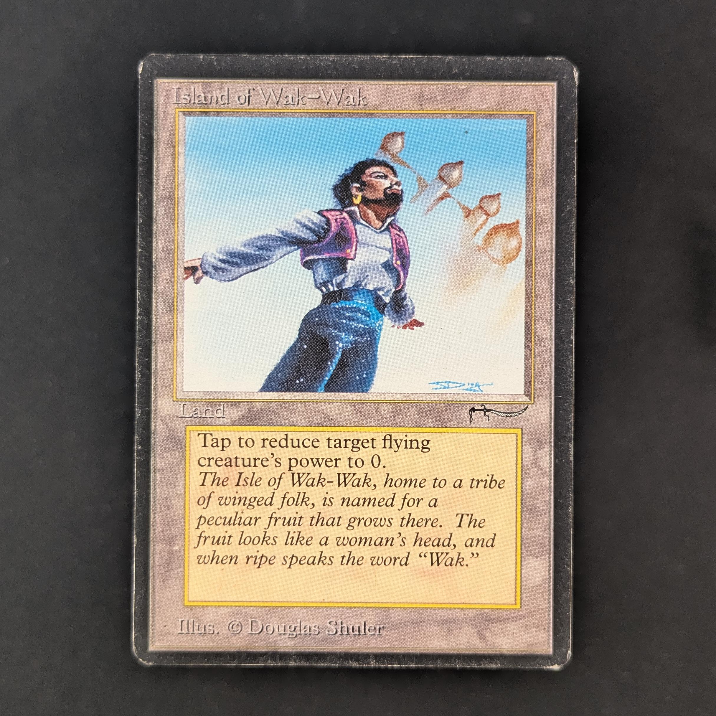 MTG Singles - Island of Wak-Wak - Arabian Nights - PL - INKED - 32440