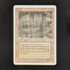 Bayou - Revised
