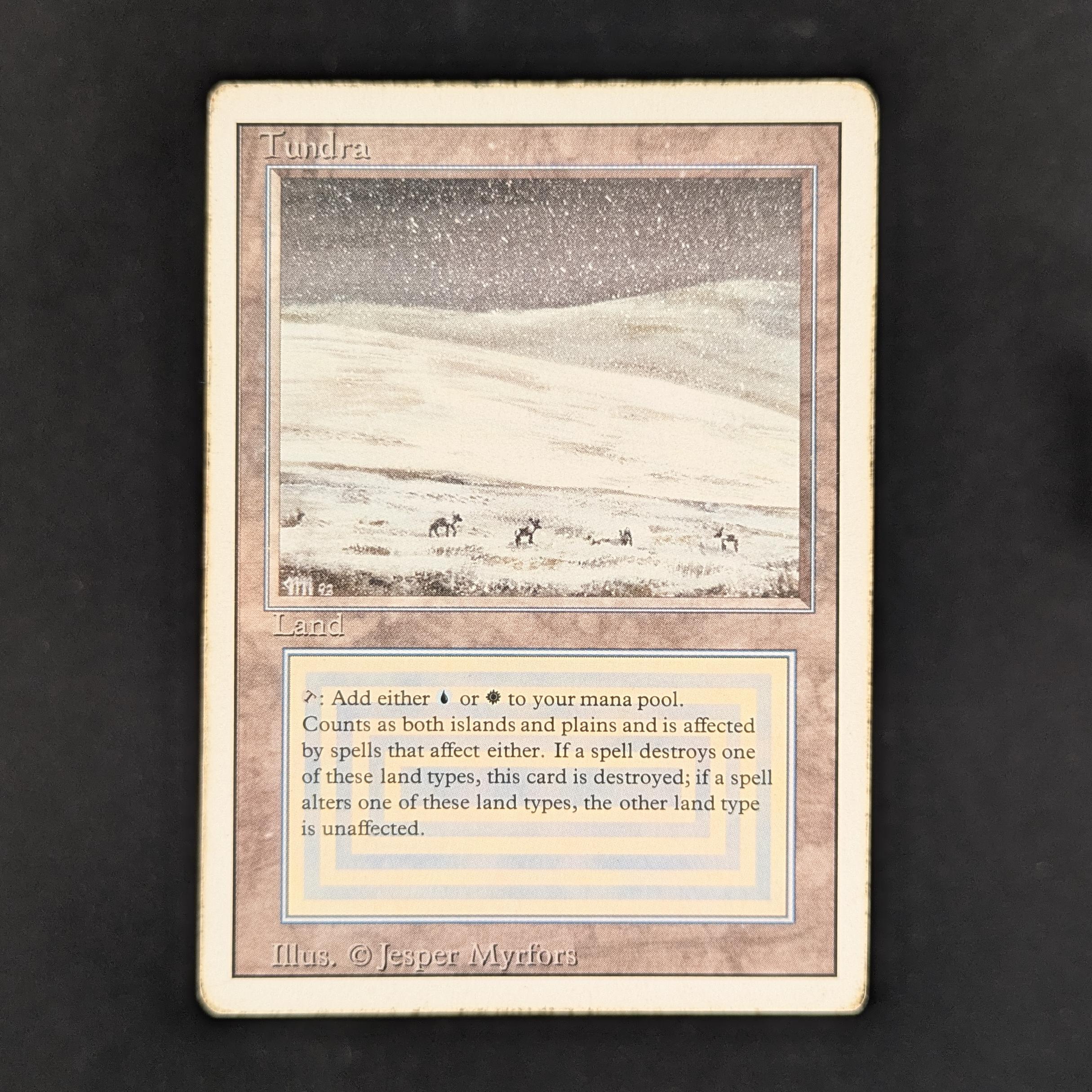MTG Singles - Tundra - Revised - PL - 32512