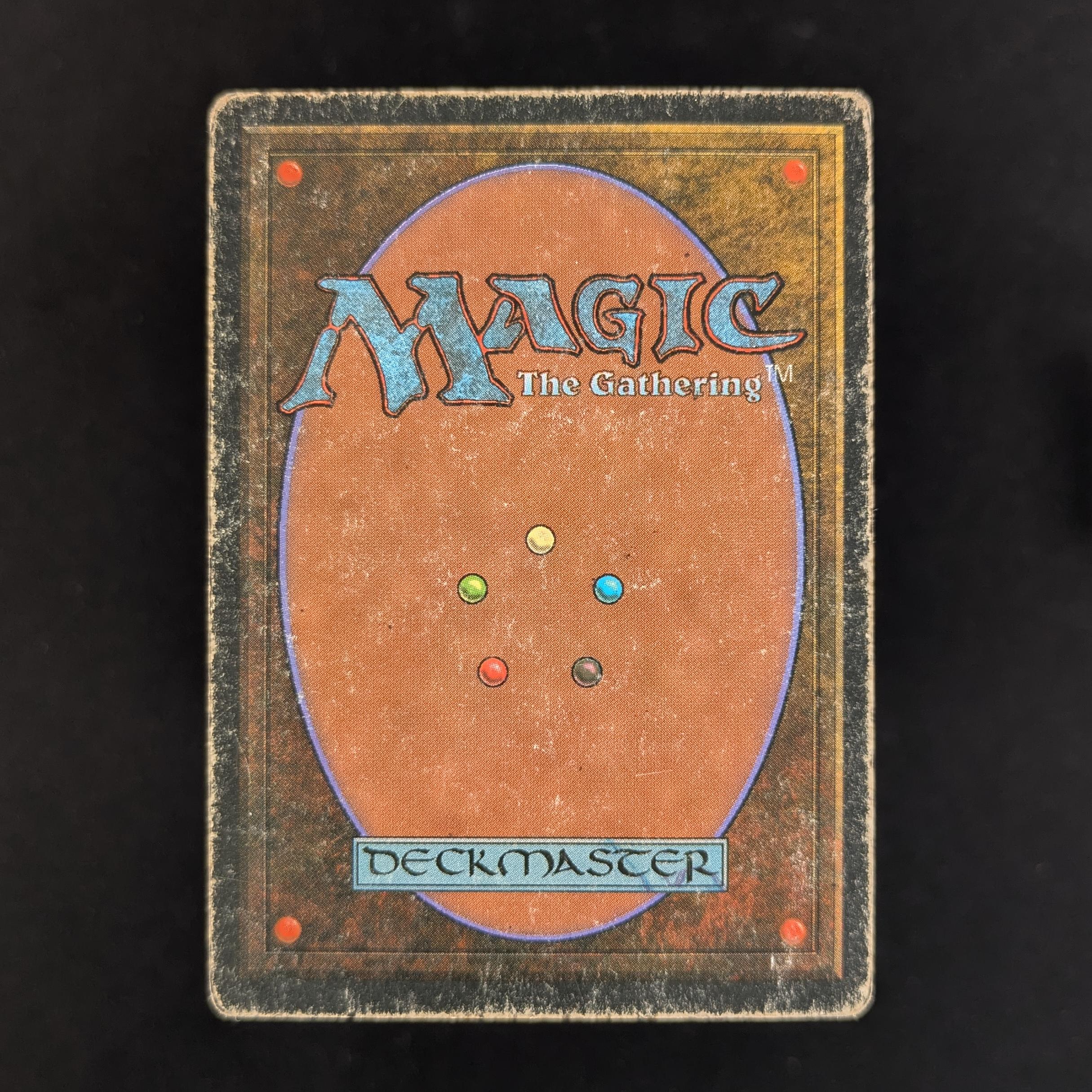 MTG Singles - Bayou - Foreign Black Bordered - 