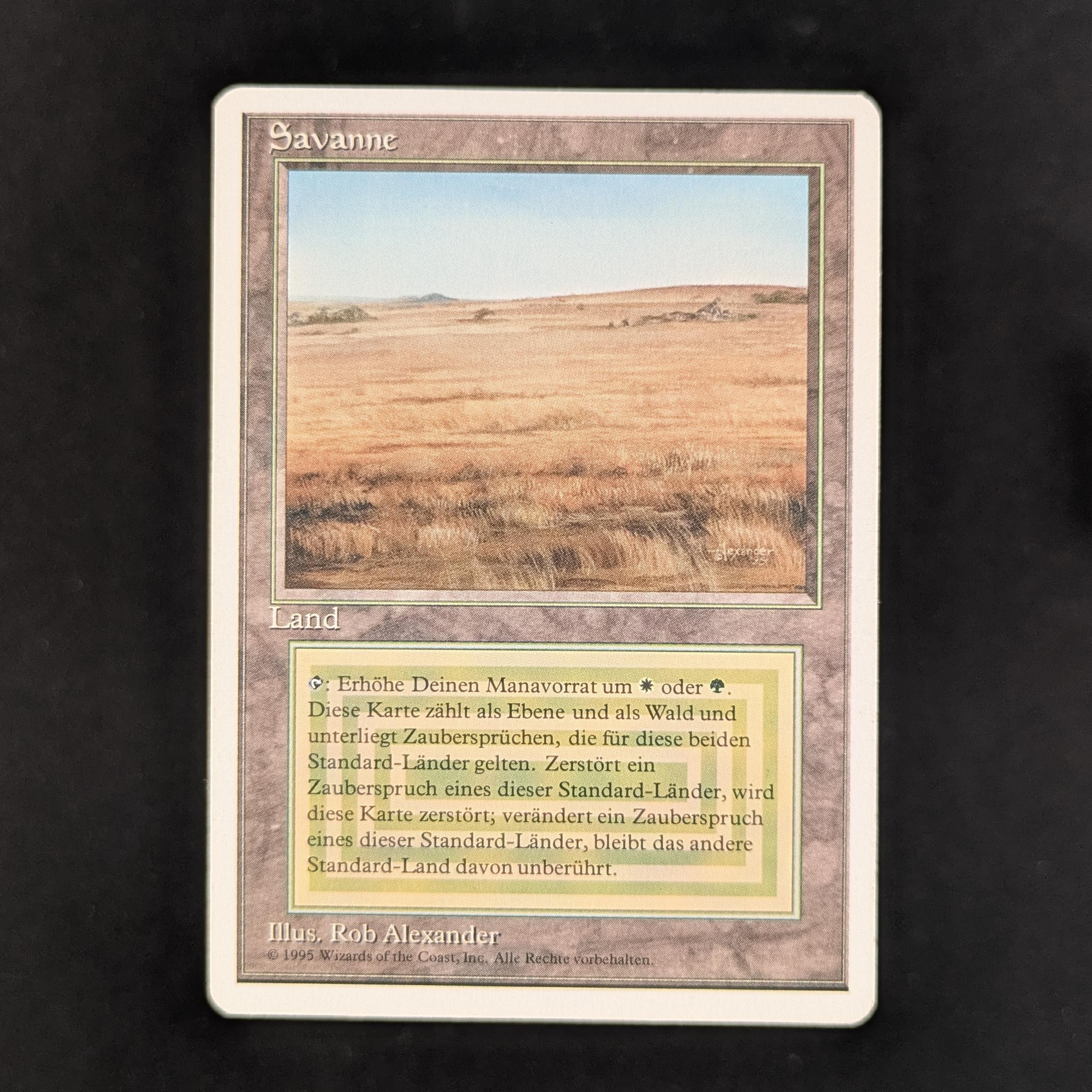 Savannah - Foreign White Bordered