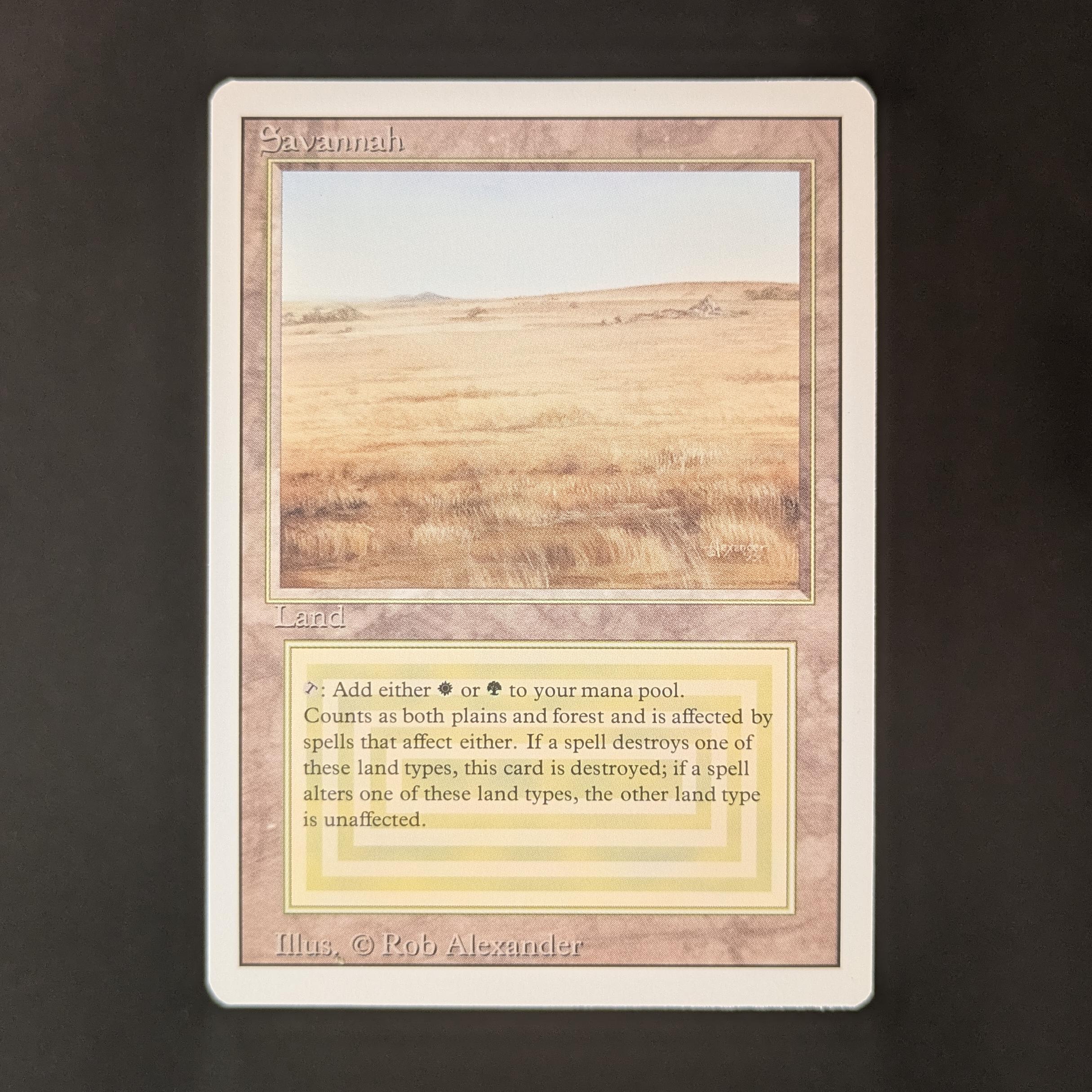 Savannah - Revised