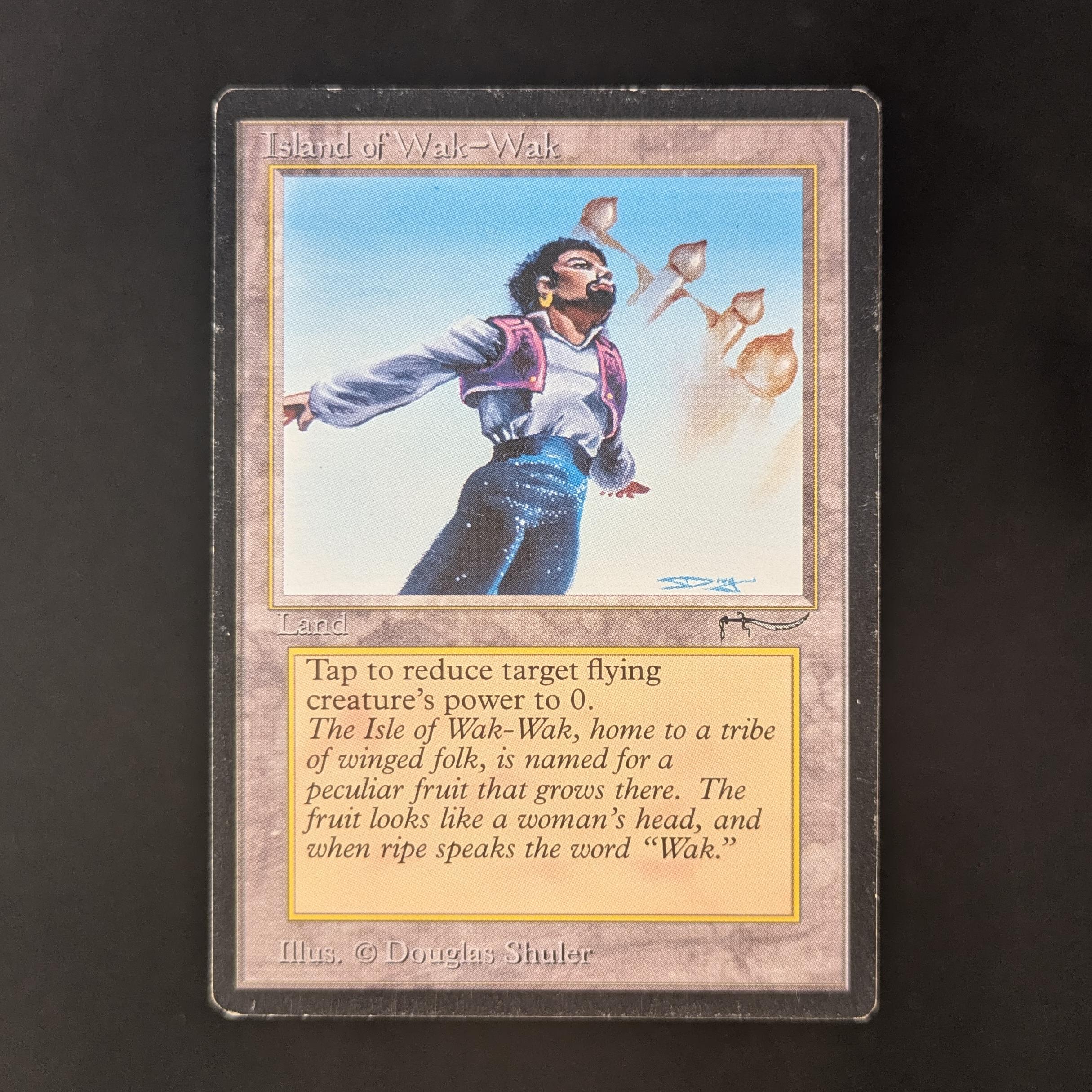 MTG Singles - Island of Wak-Wak - Arabian Nights - LP - 32705