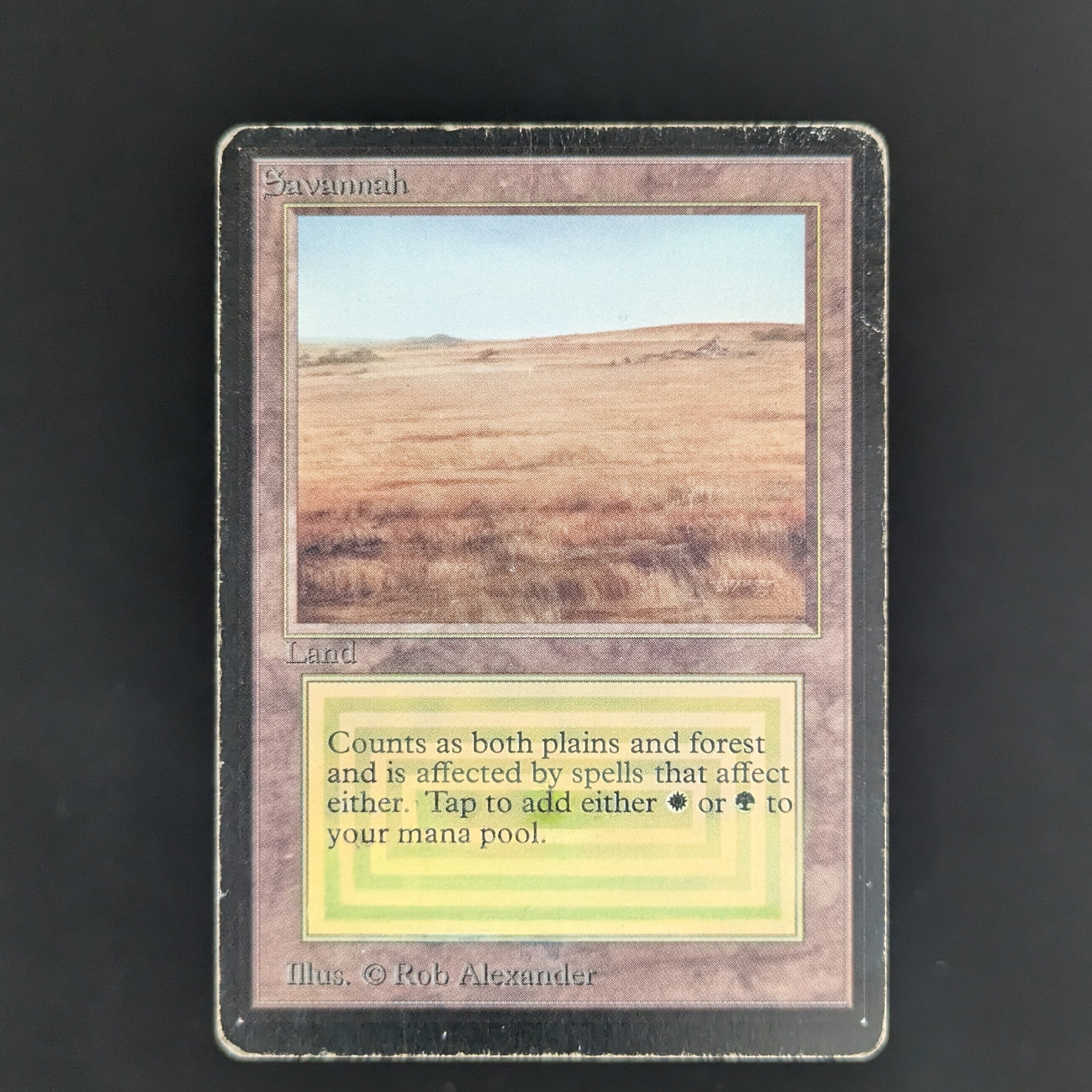 MTG Singles - Savannah - Beta - PO - 32745