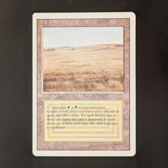 Savannah - Revised