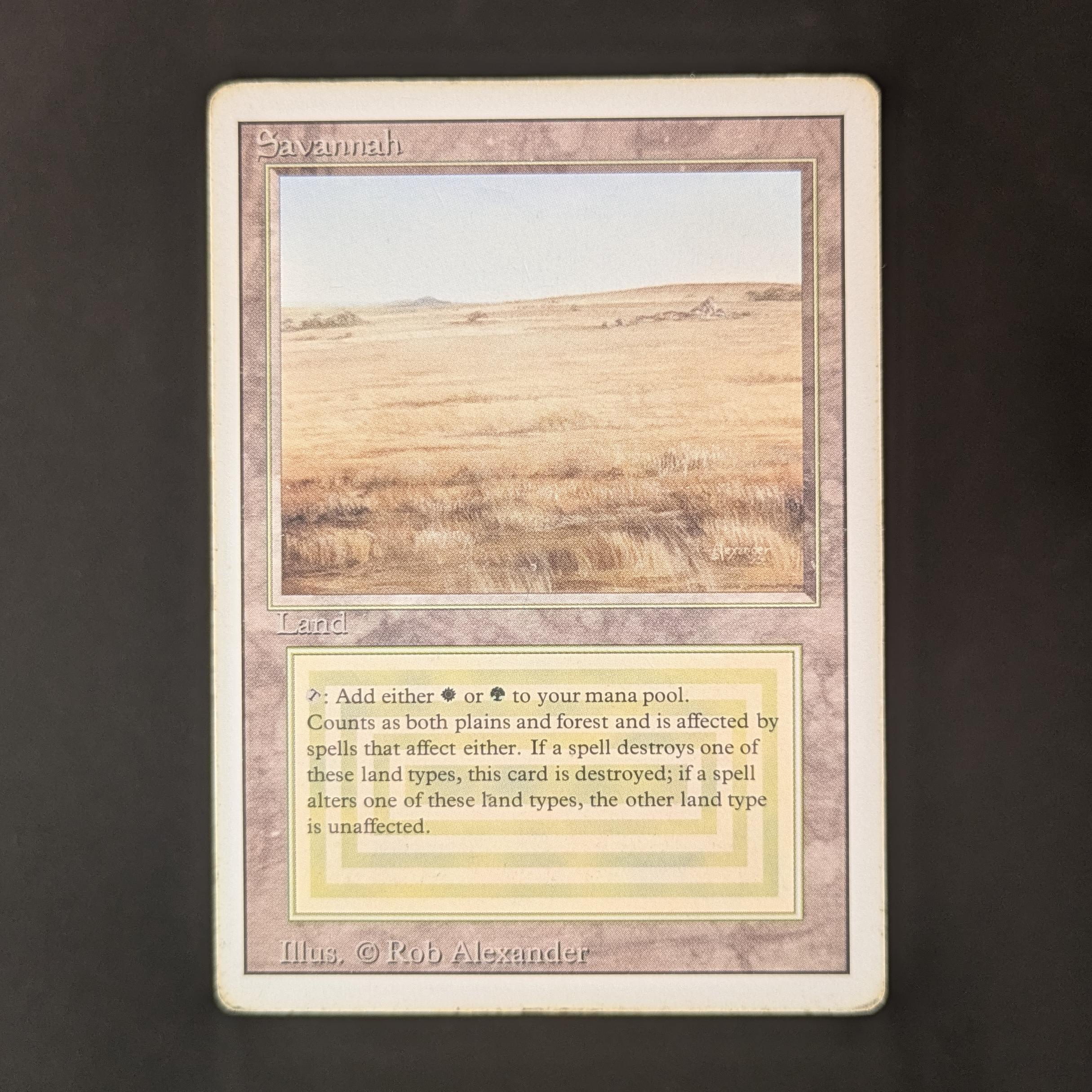 Savannah - Revised