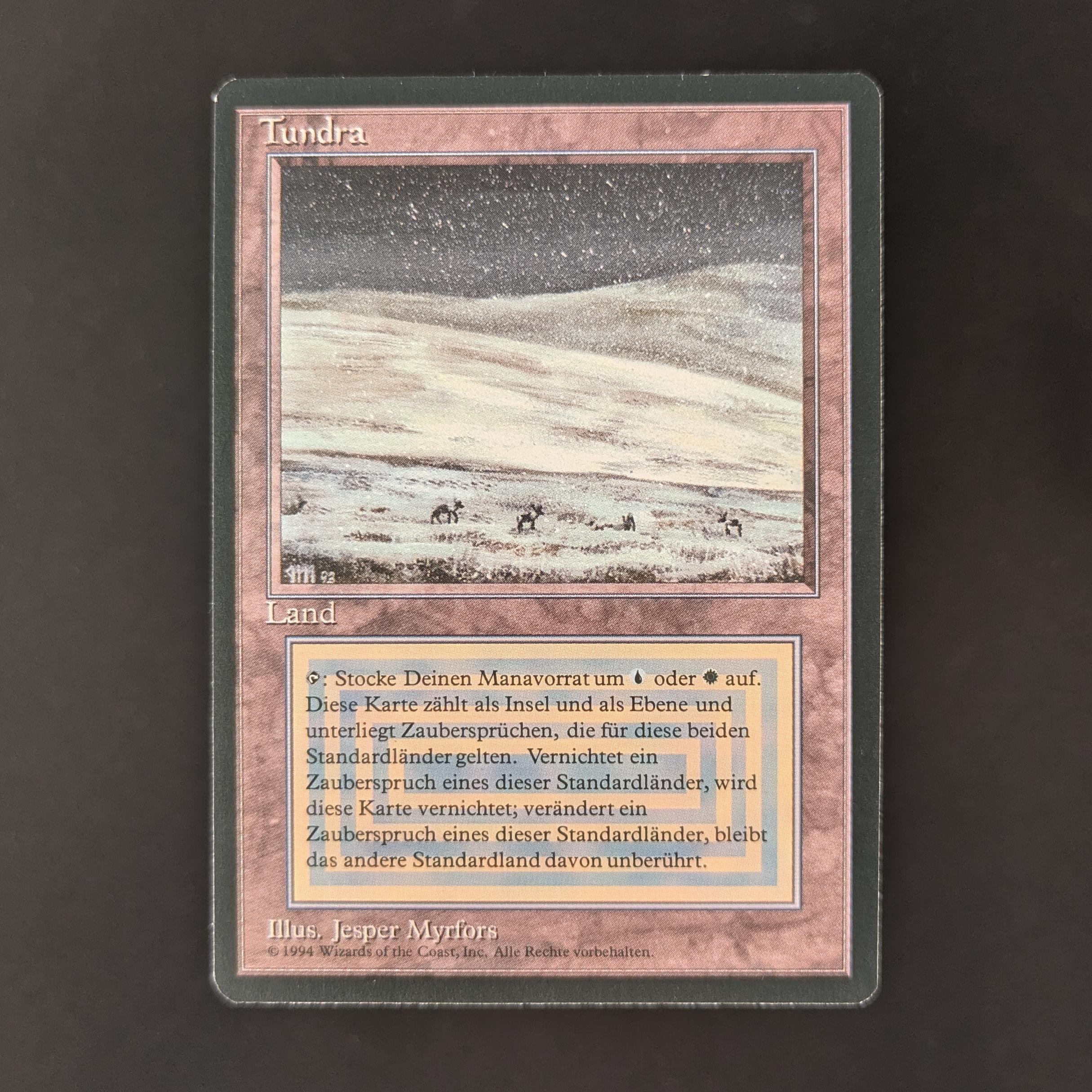 MTG Singles - Tundra - Foreign Black Bordered - German - EX - 32828