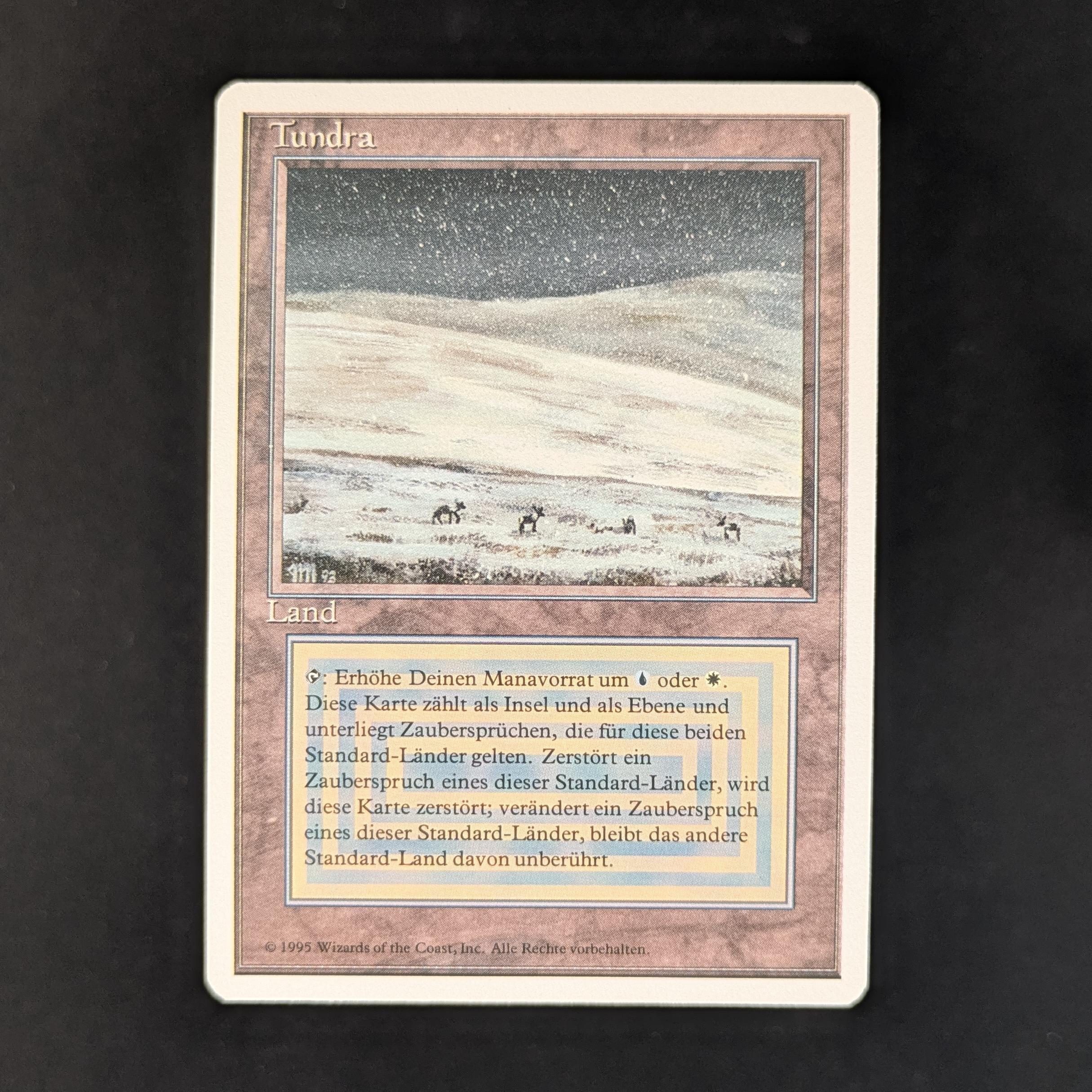 Tundra - Foreign White Bordered