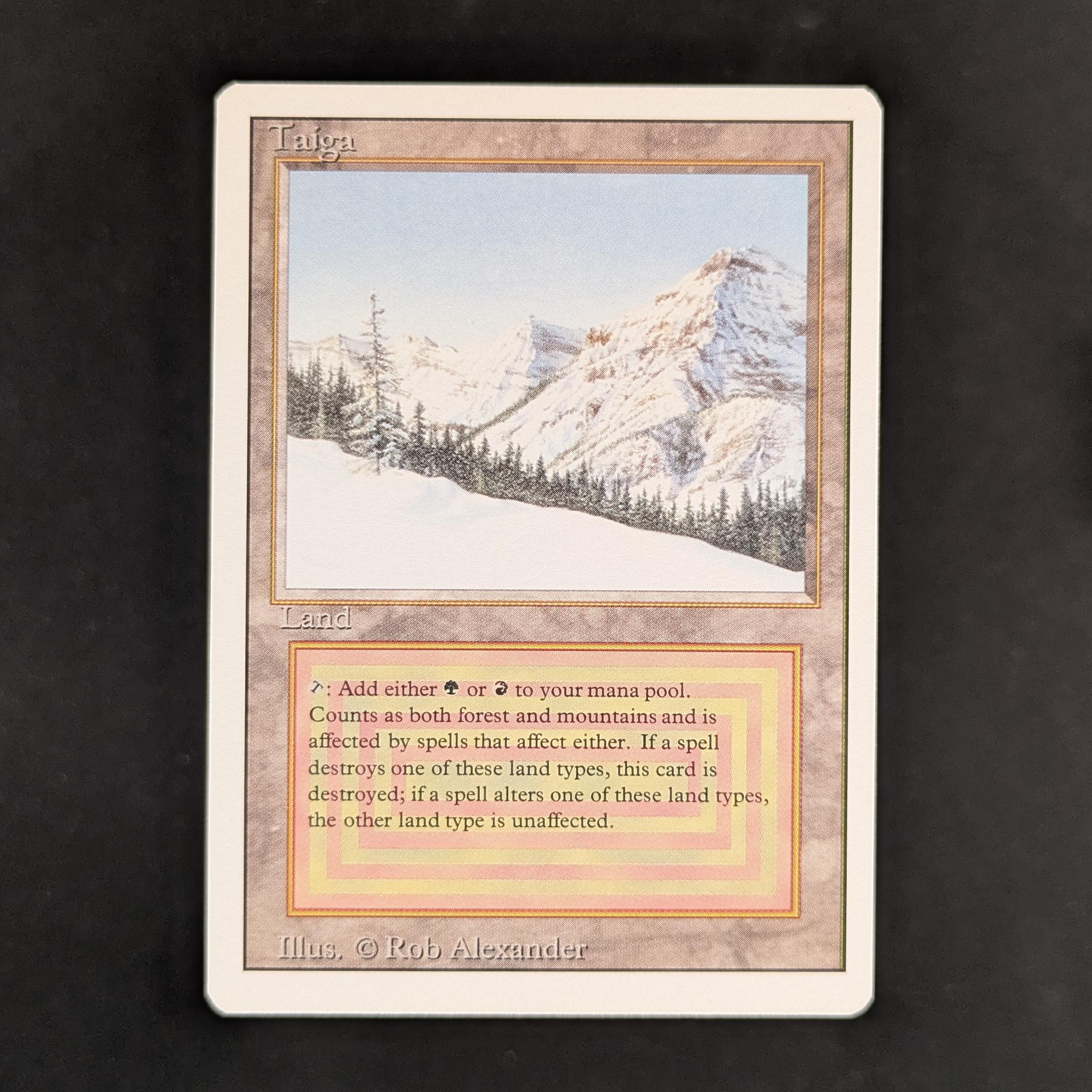 MTG Singles - Taiga - Revised - NM - 32986
