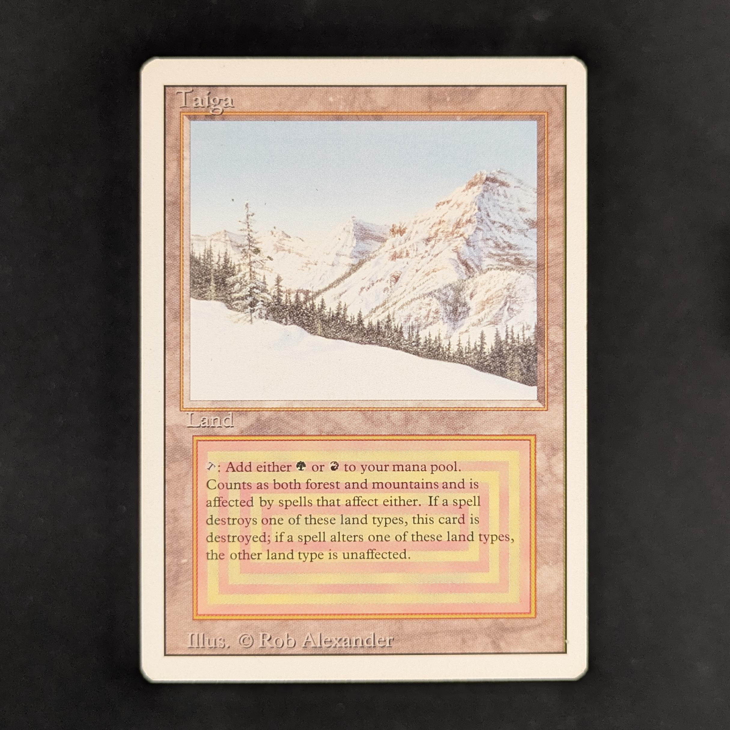 MTG Taiga 【IE】鑑定 Taiga - Revised