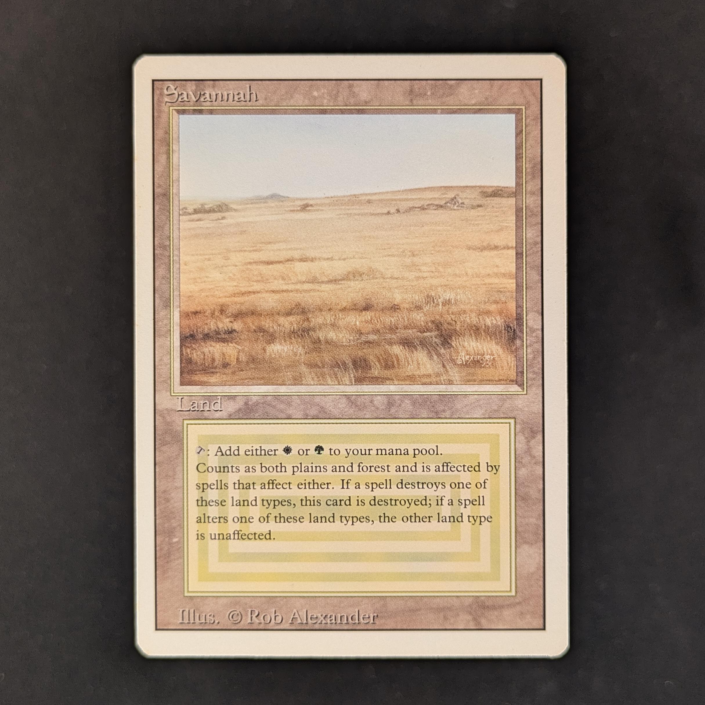Savannah - Revised