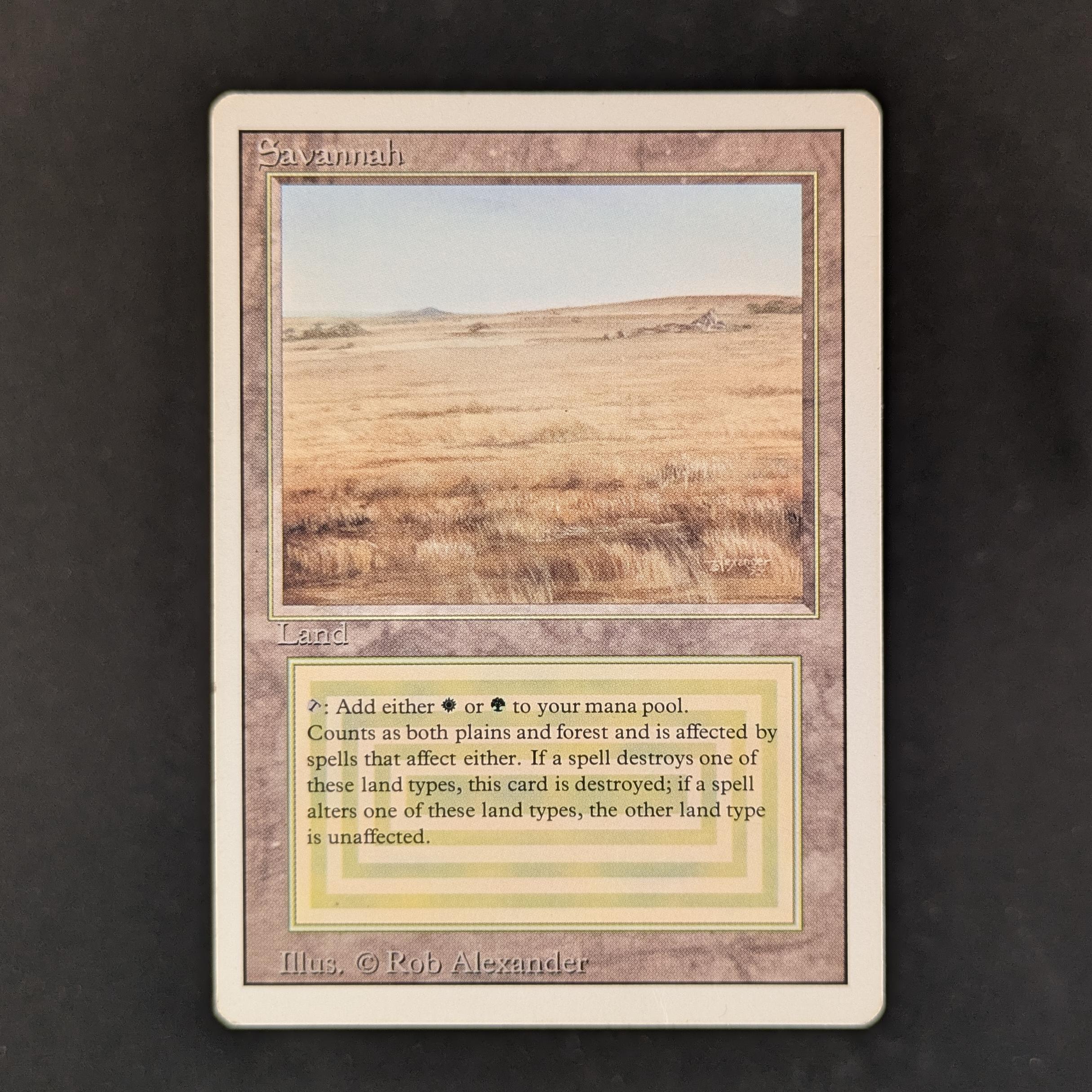 Savannah - Revised